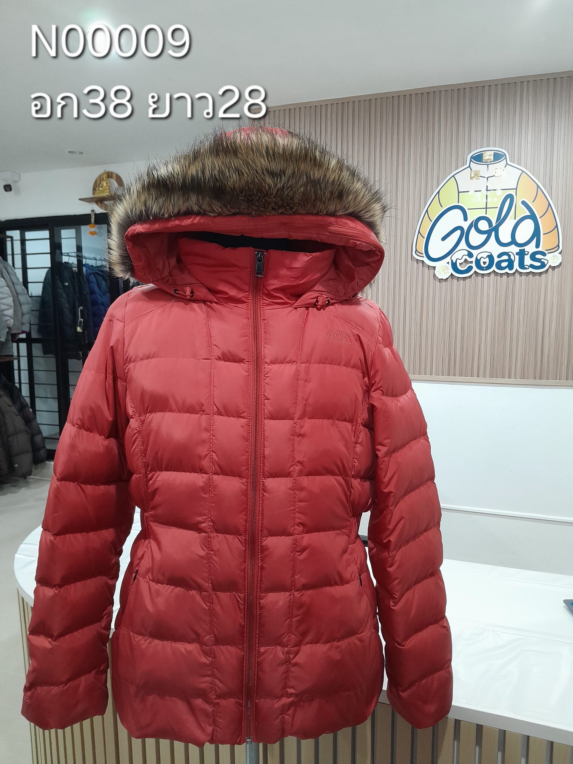 N00009 The North face