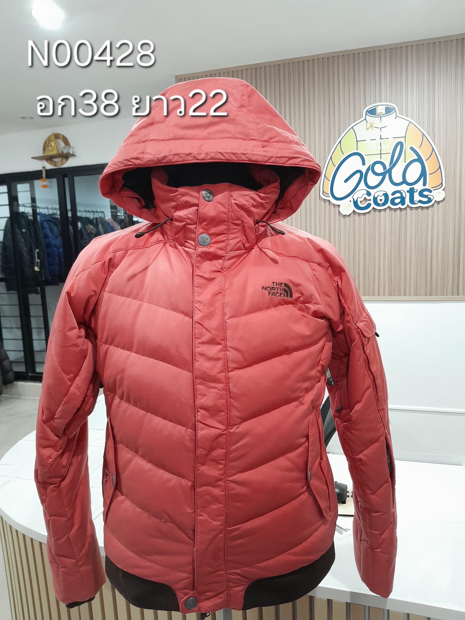 N00428 The North face