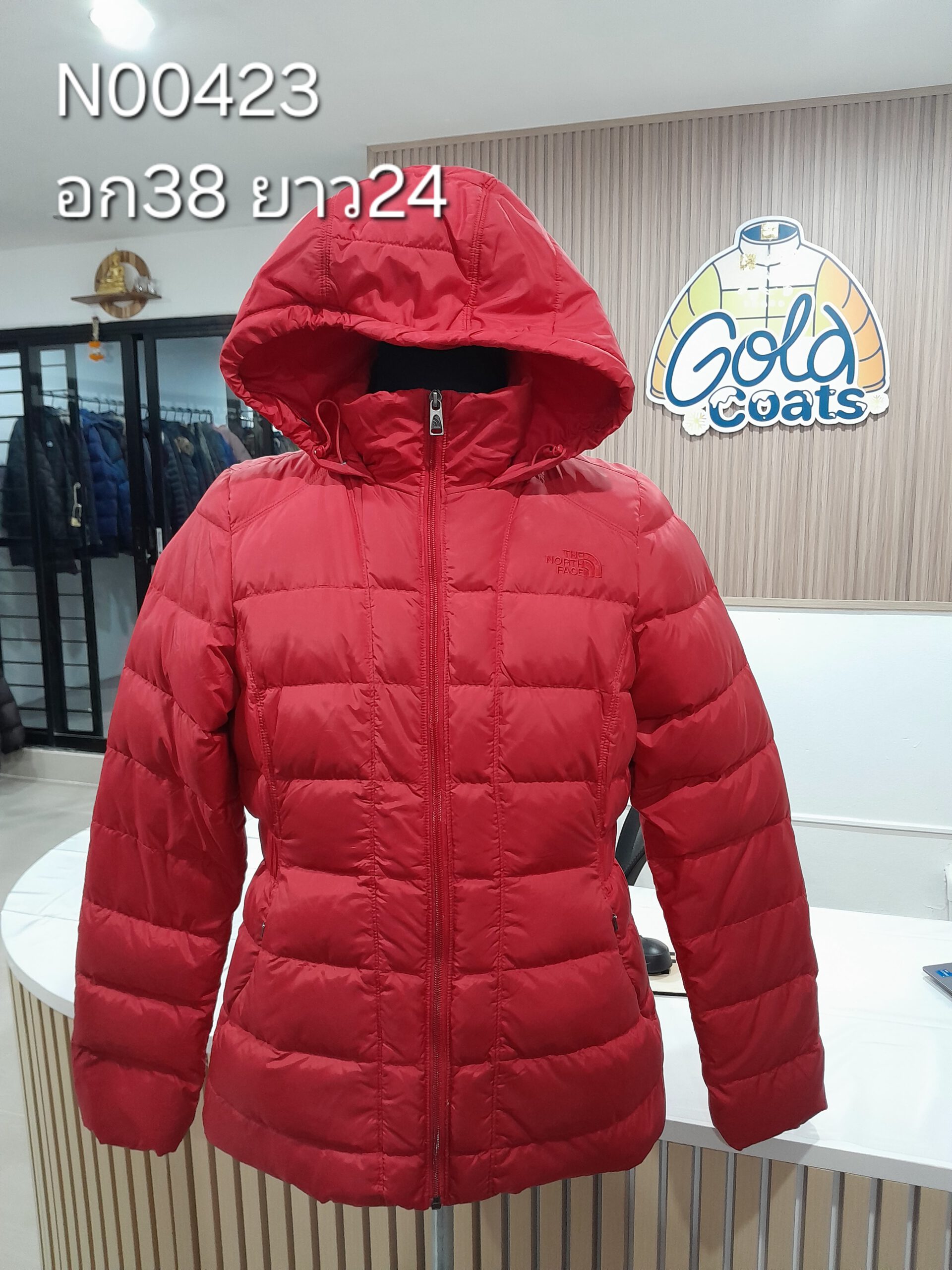 N00423 The North face