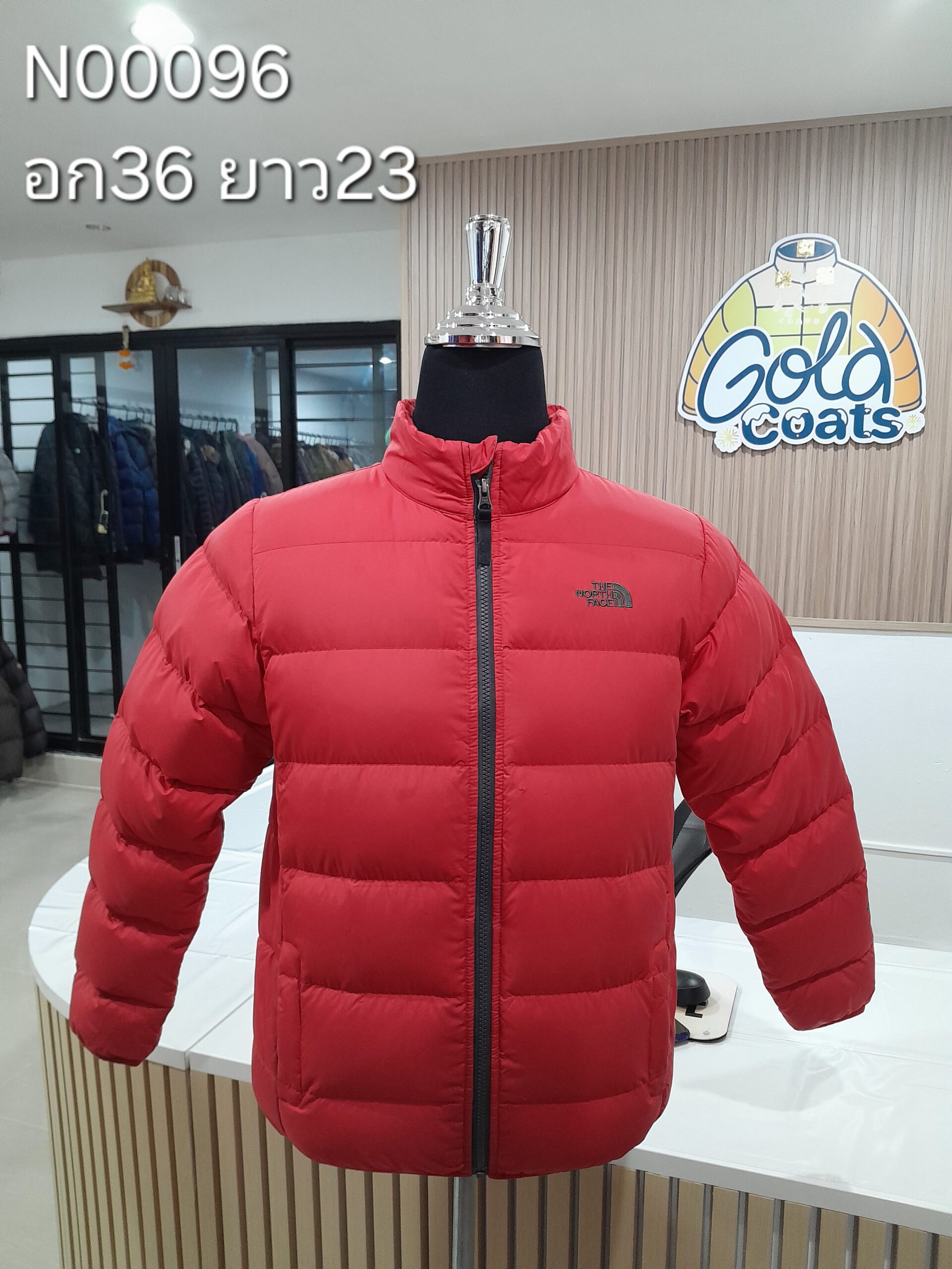 N00096 The North face