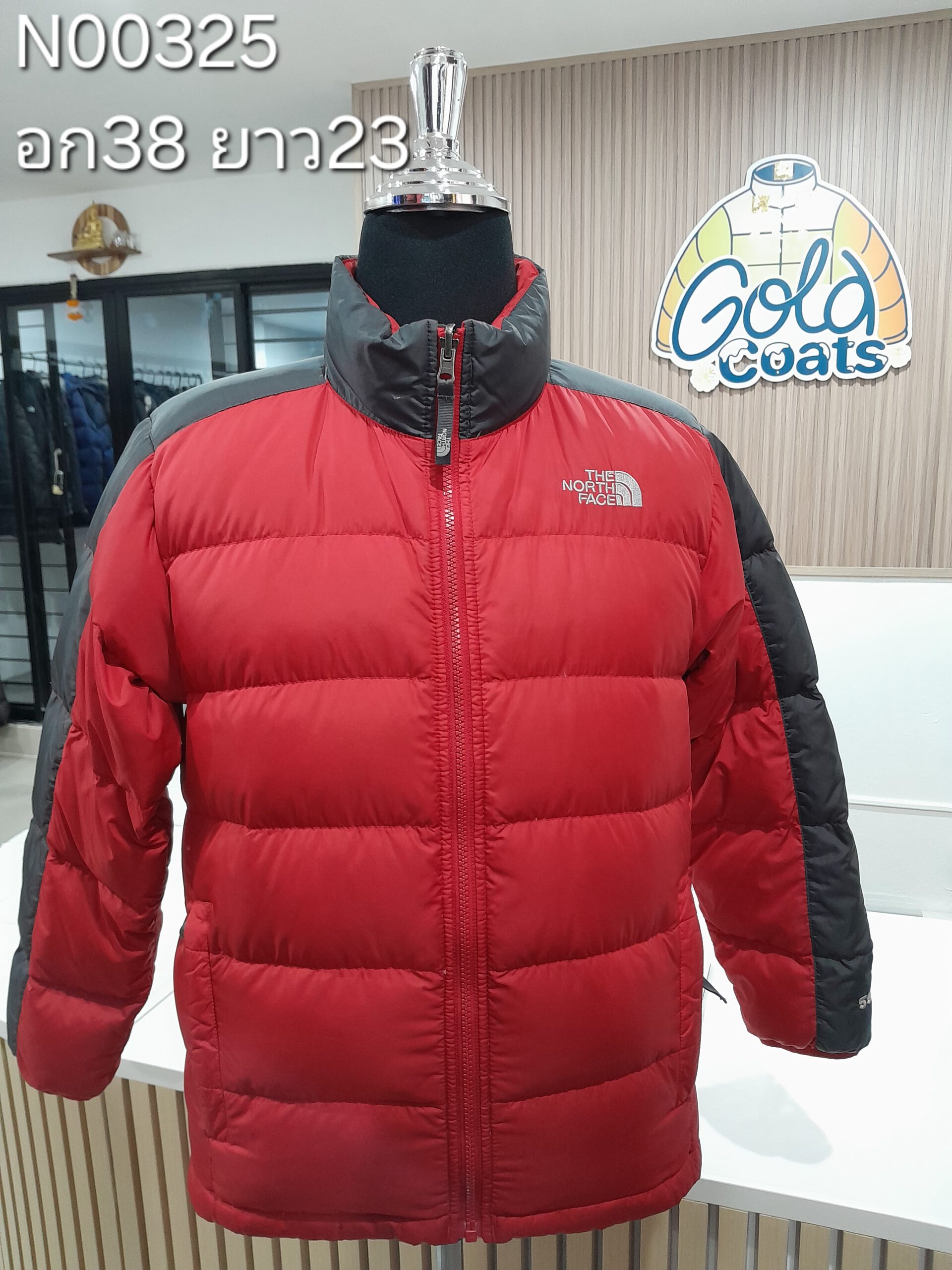 N00325 The North face