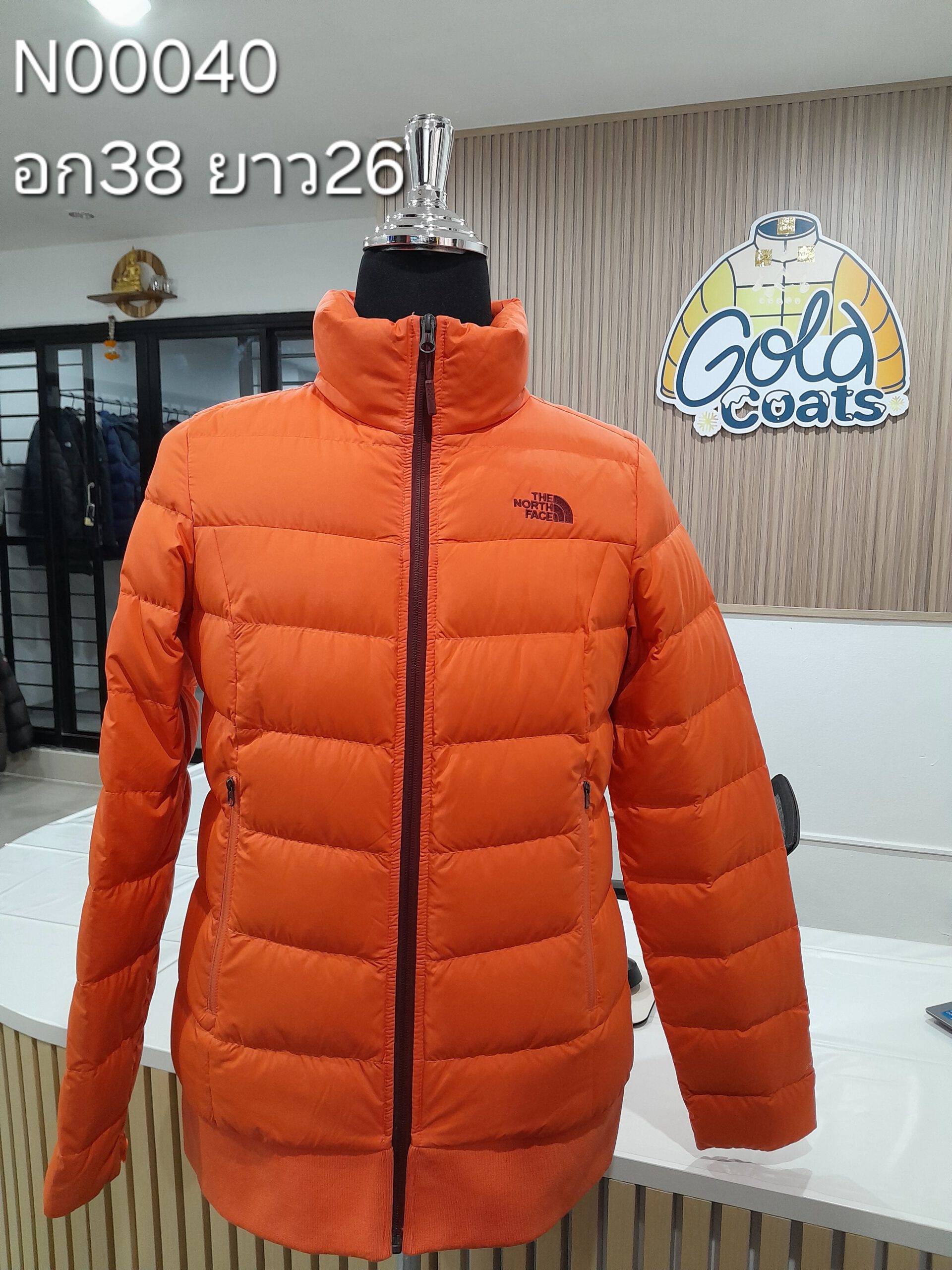 N00040 The North face