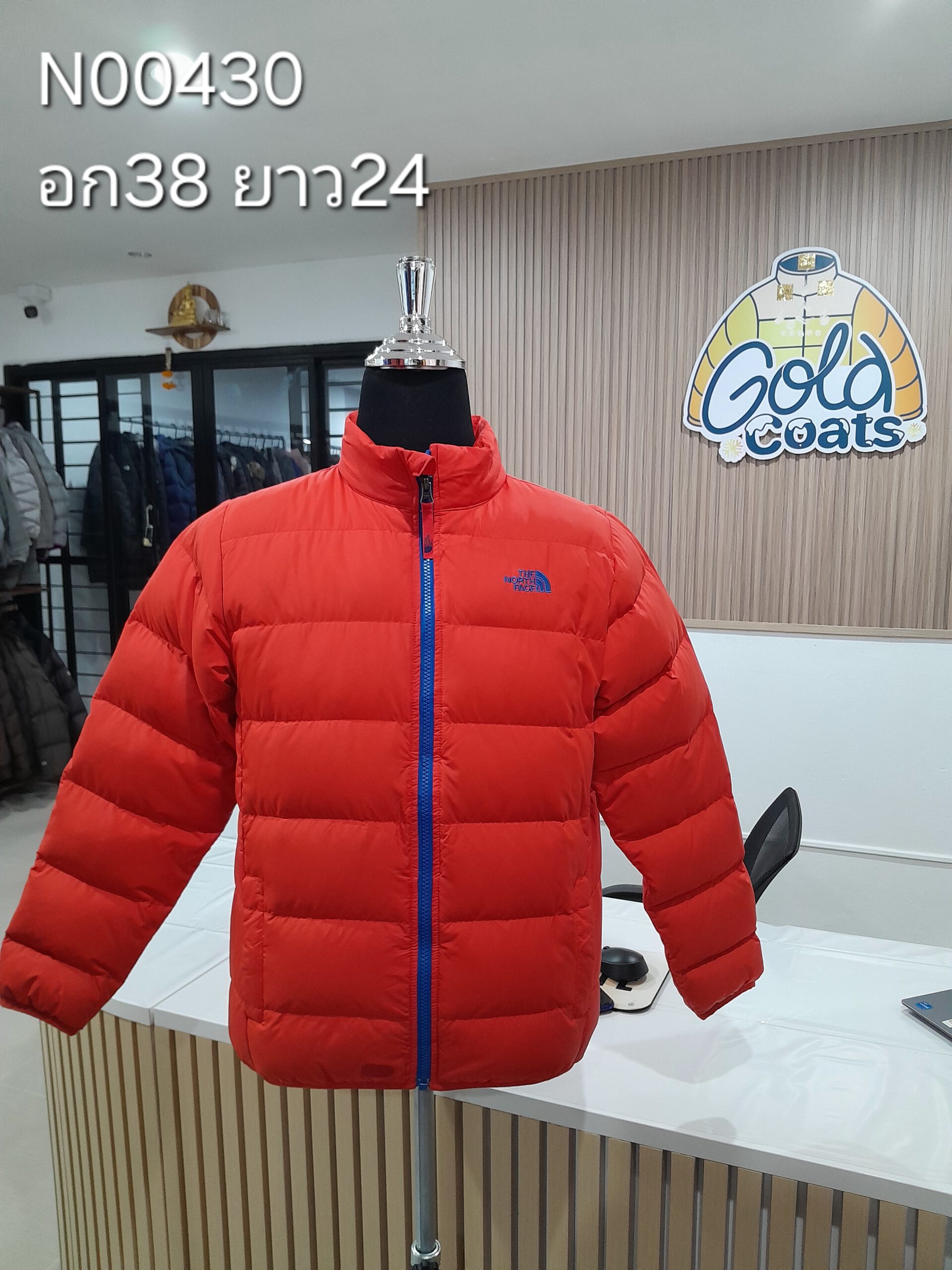 N00430 The North face