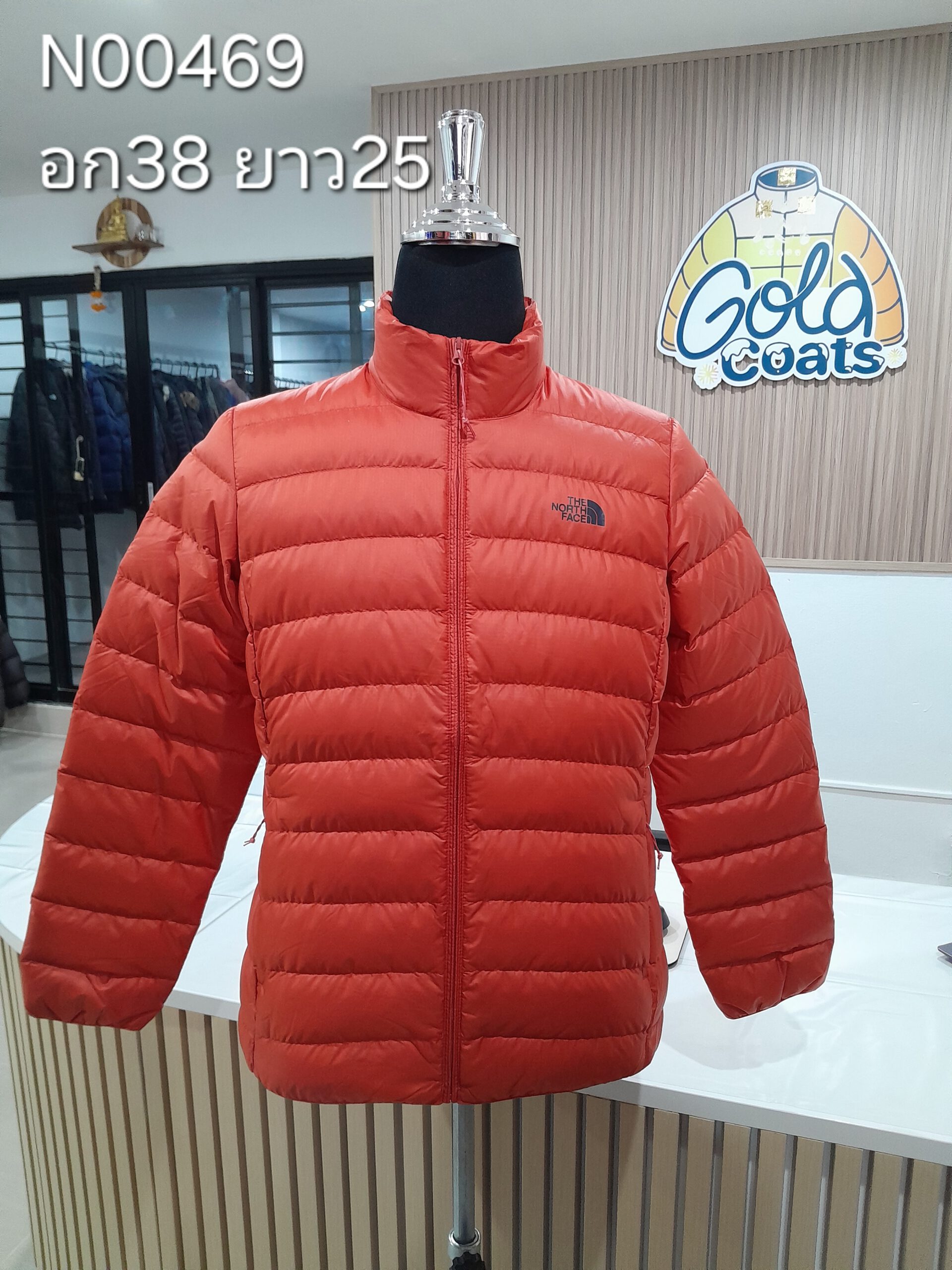 N00469 The North face