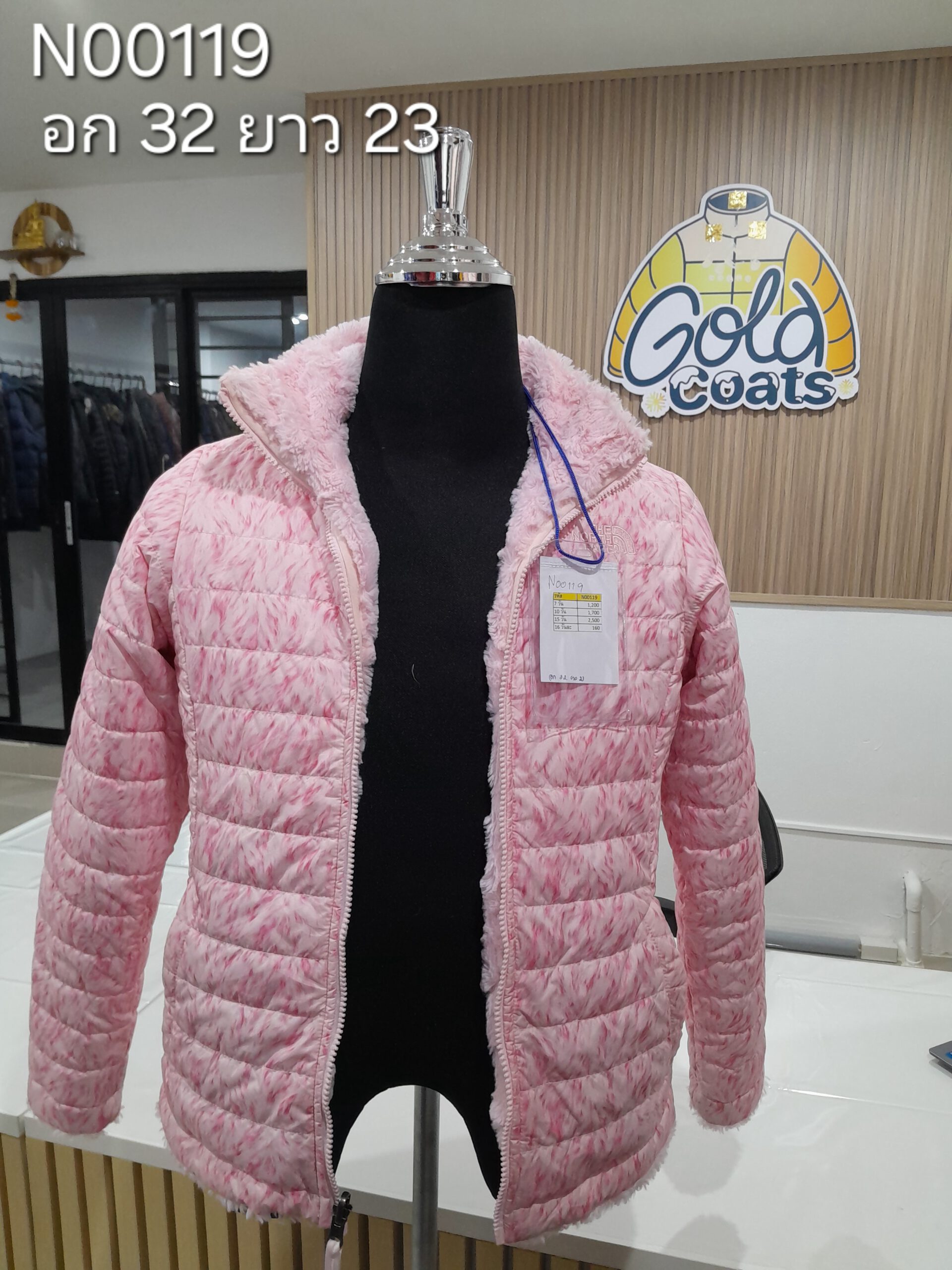 N00119 The North face