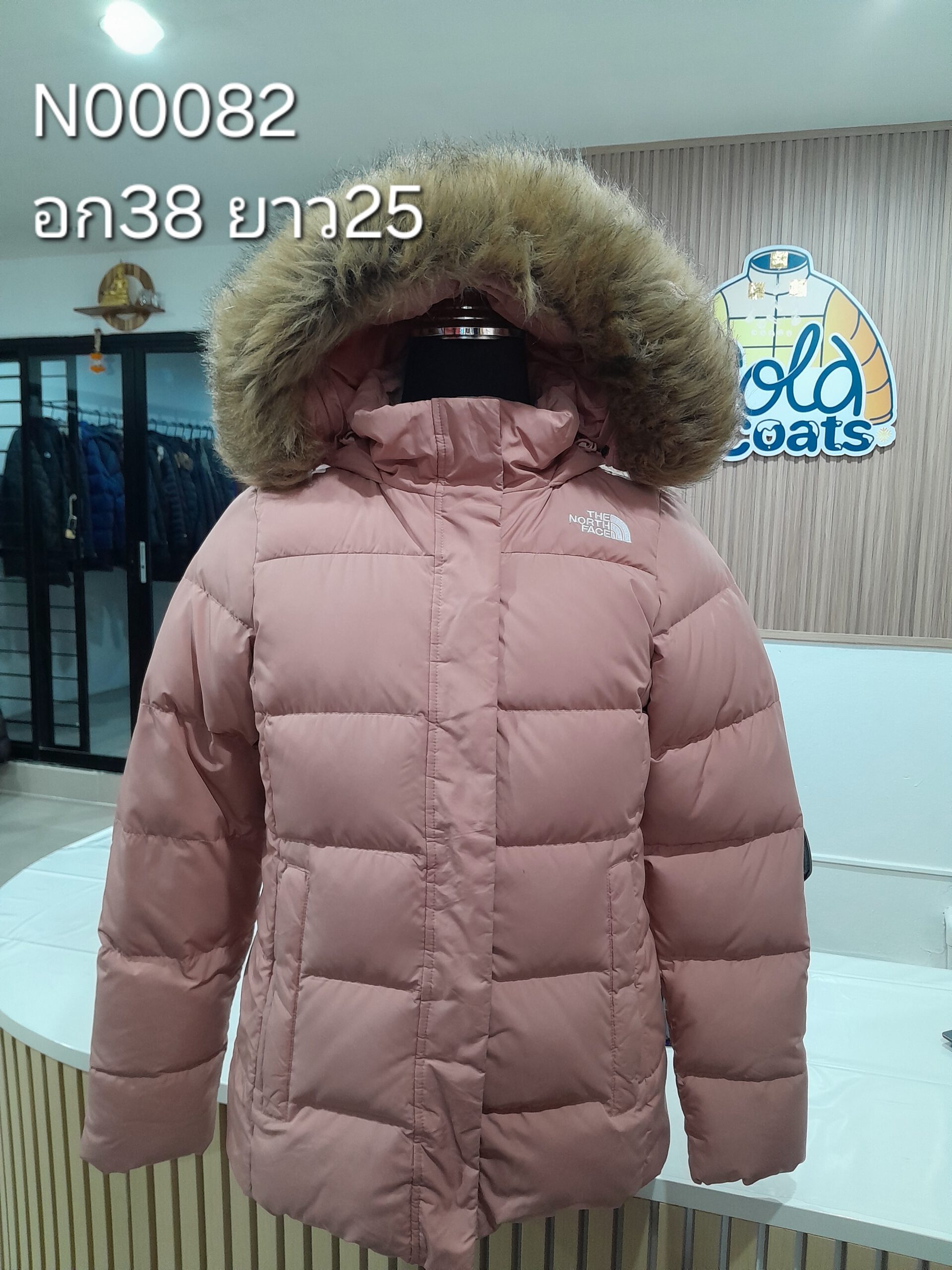 N00082 The North face