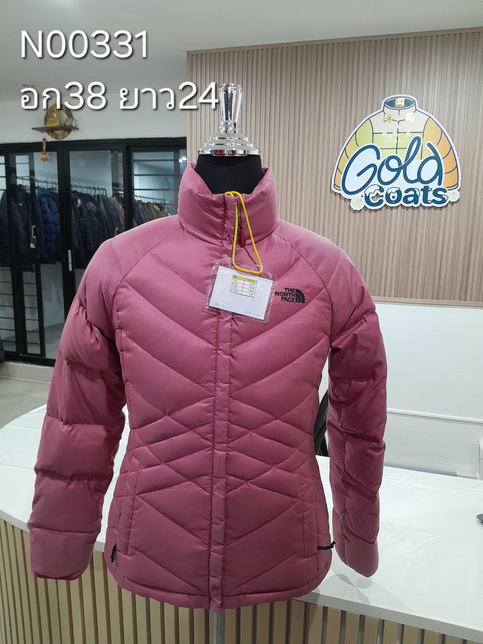 N00331 The North face