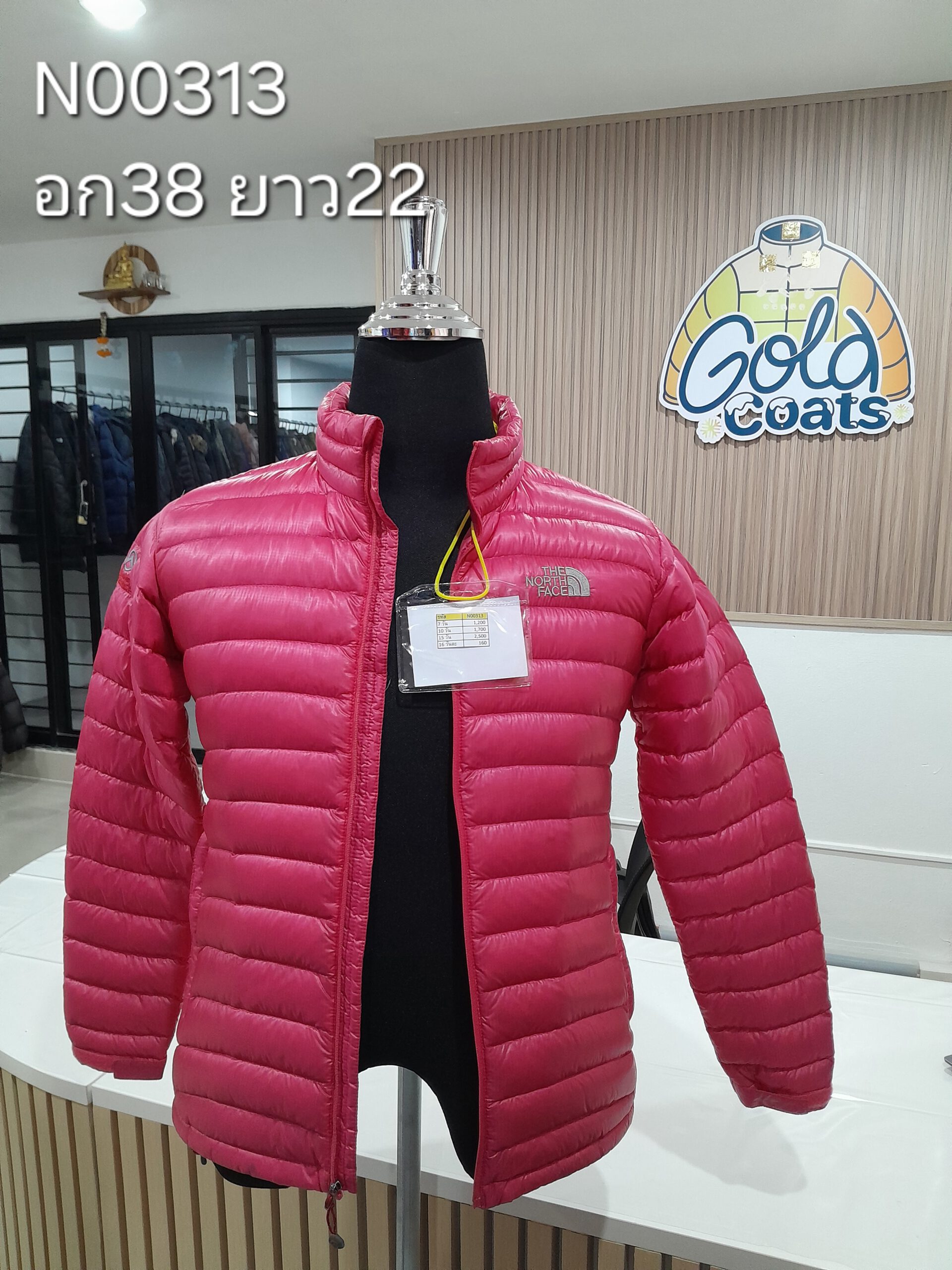 N00313 The North face