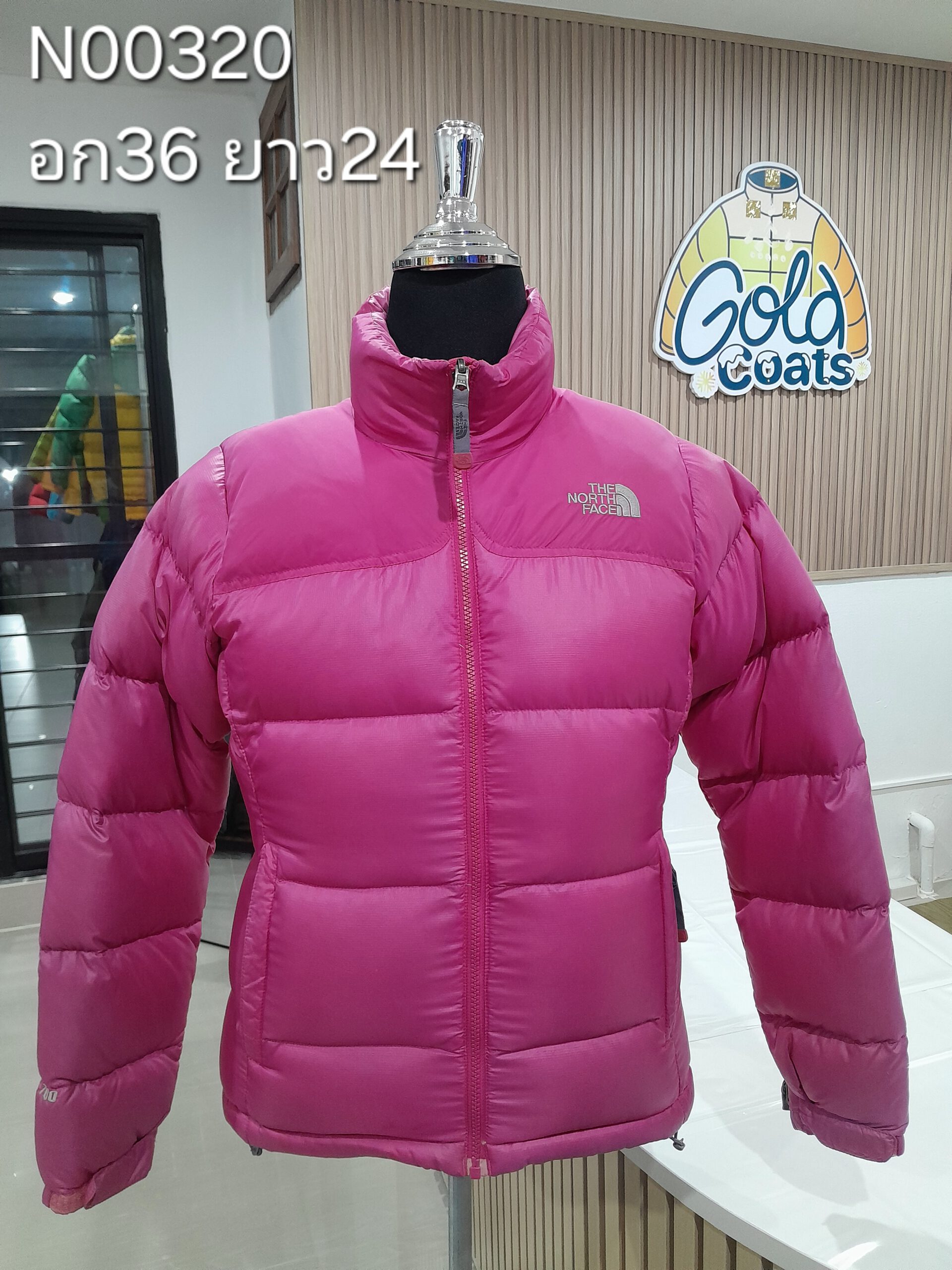 N00320 The North face