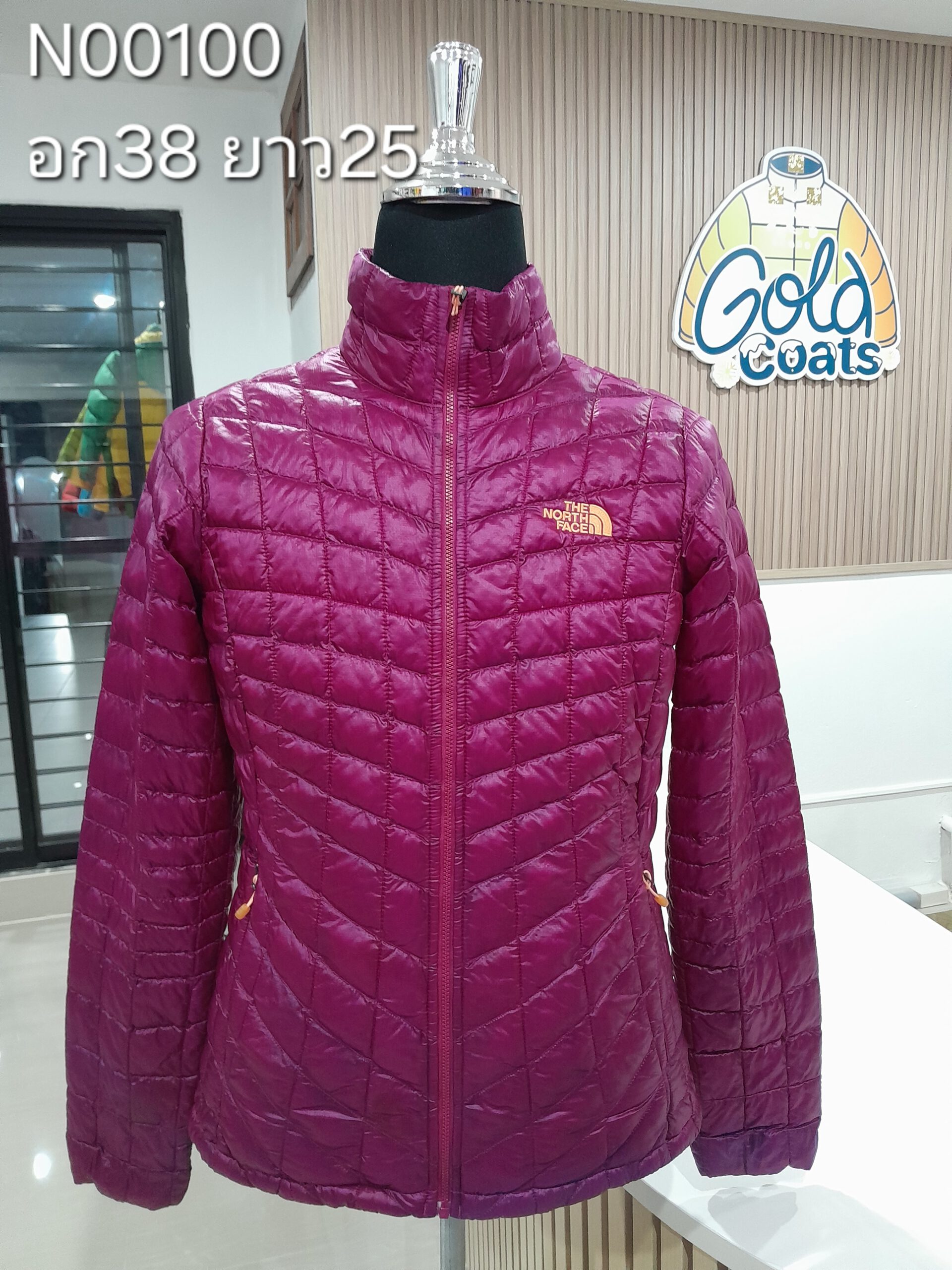 N00100 The North face