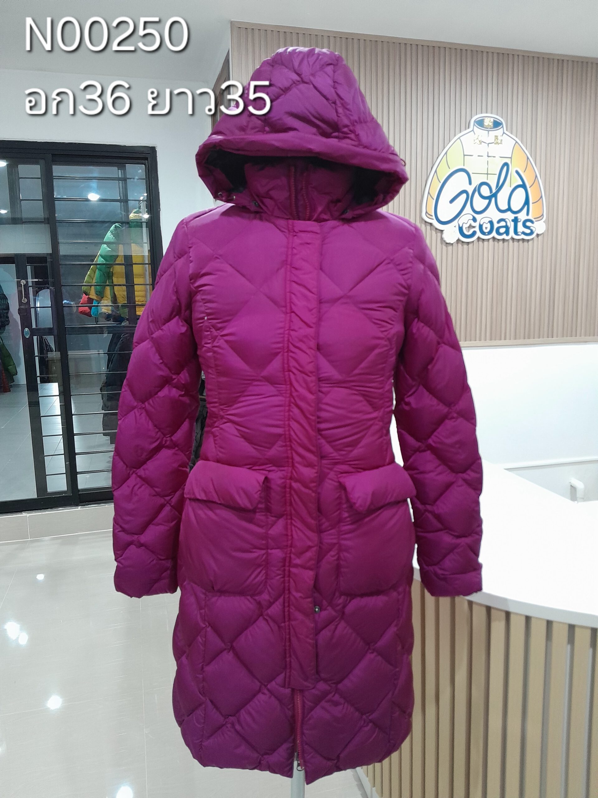 N00250 The North face