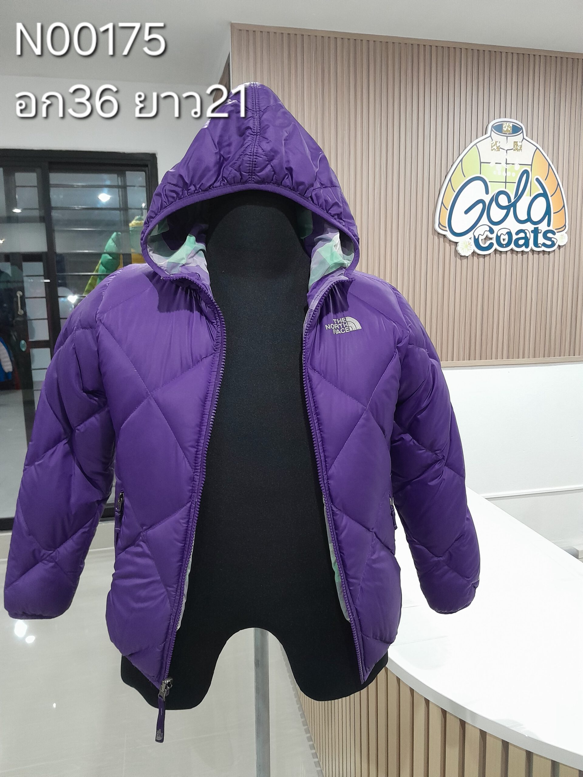 N00175 The North face