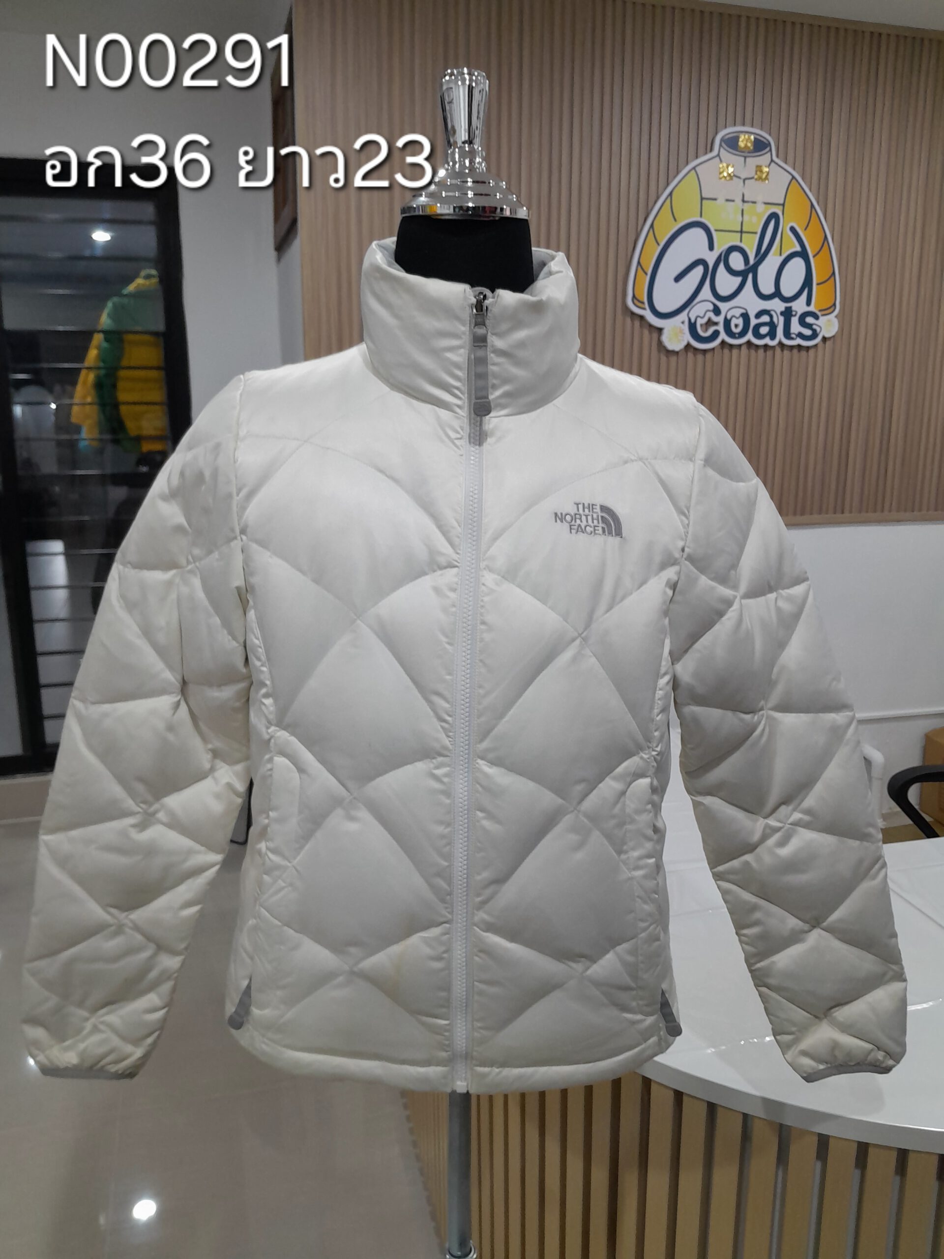 N00291 The North face