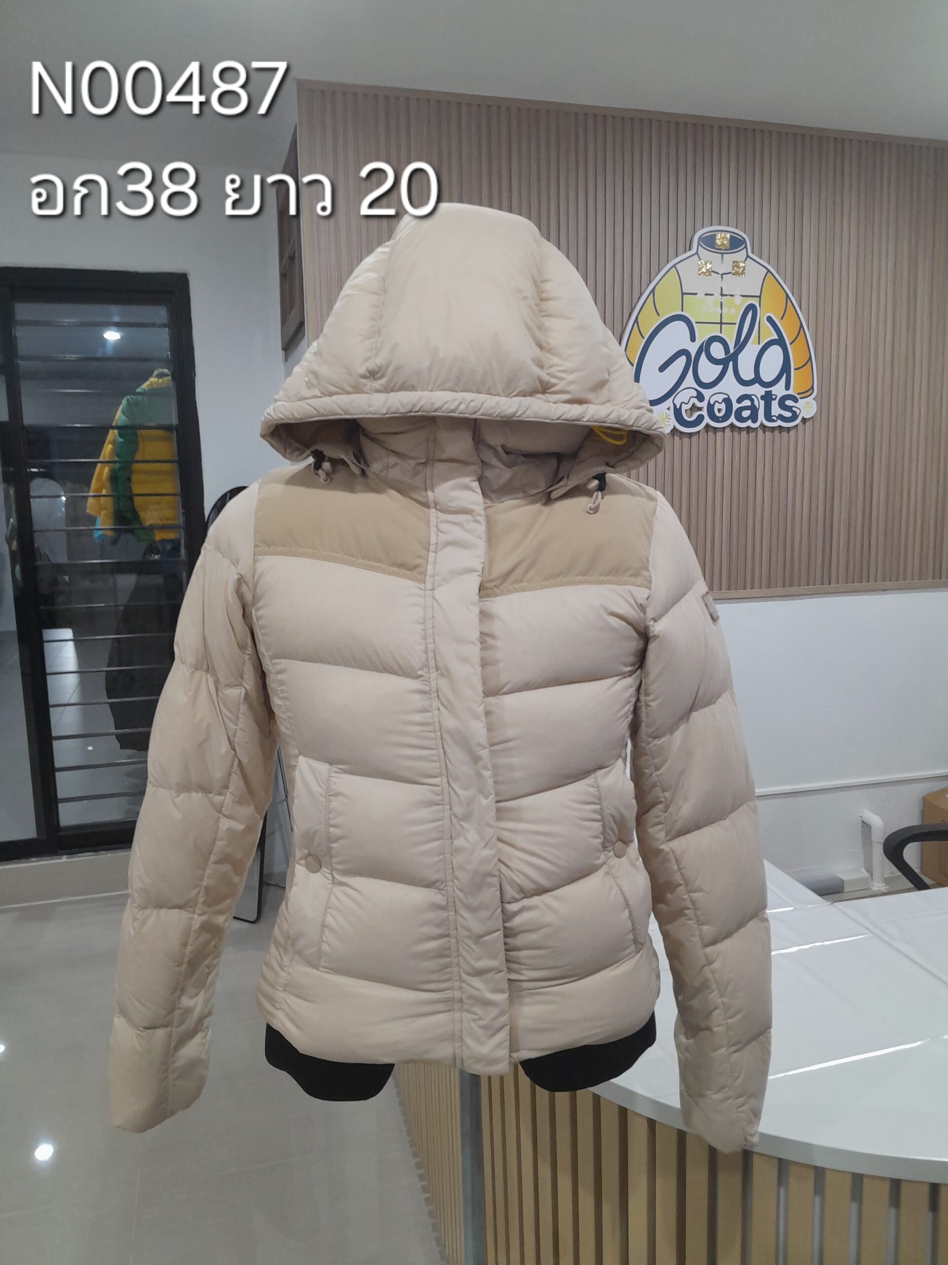 N00487 The North face