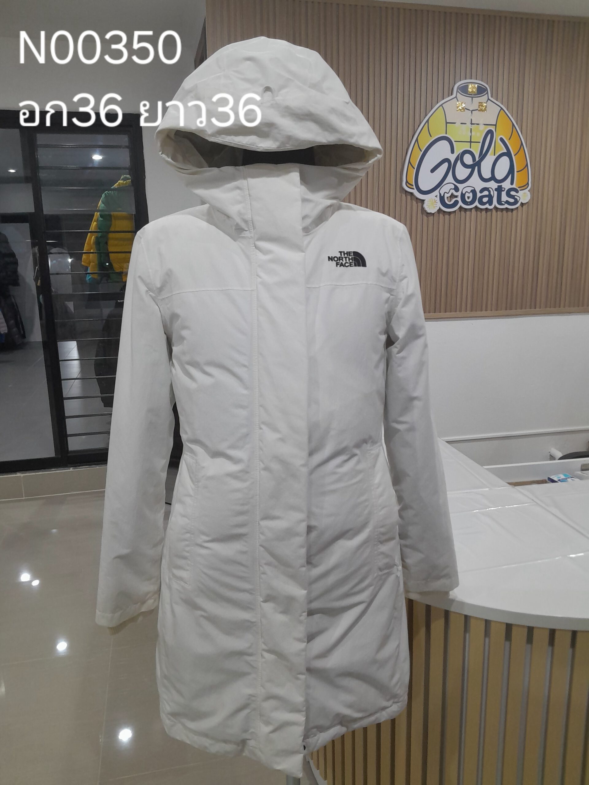 N00350 The North face