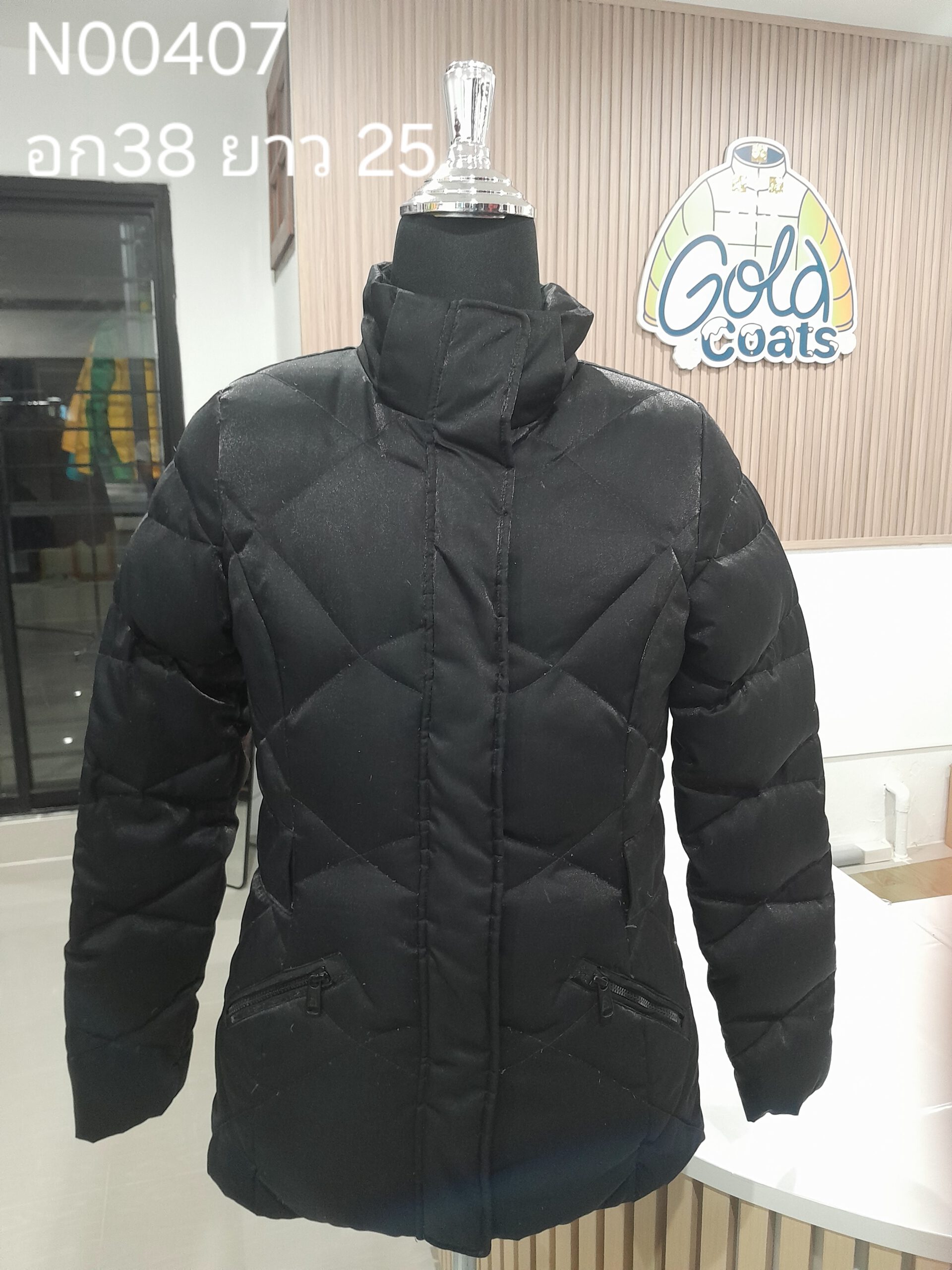 N00407 The North face