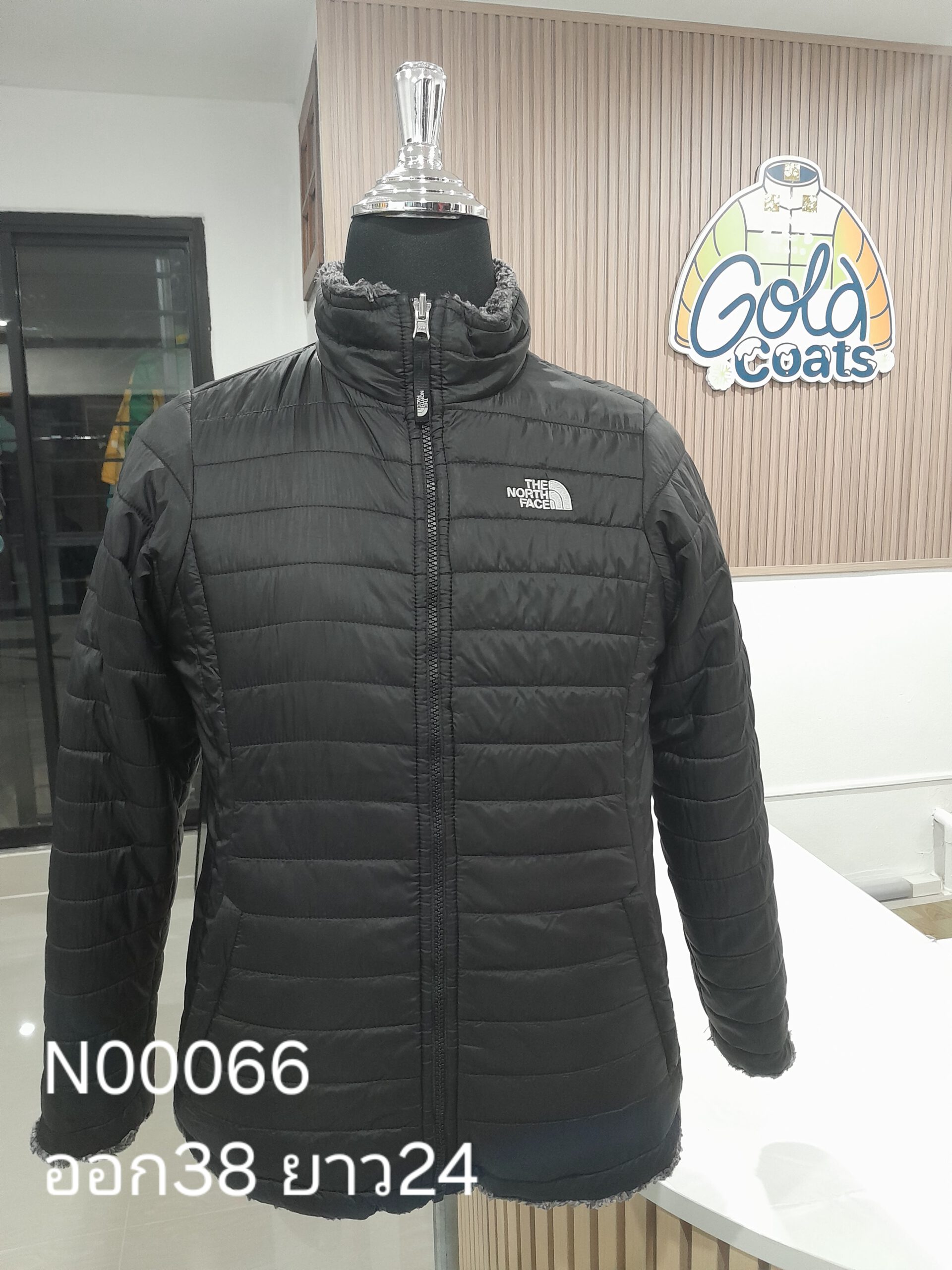 N00066 The North face