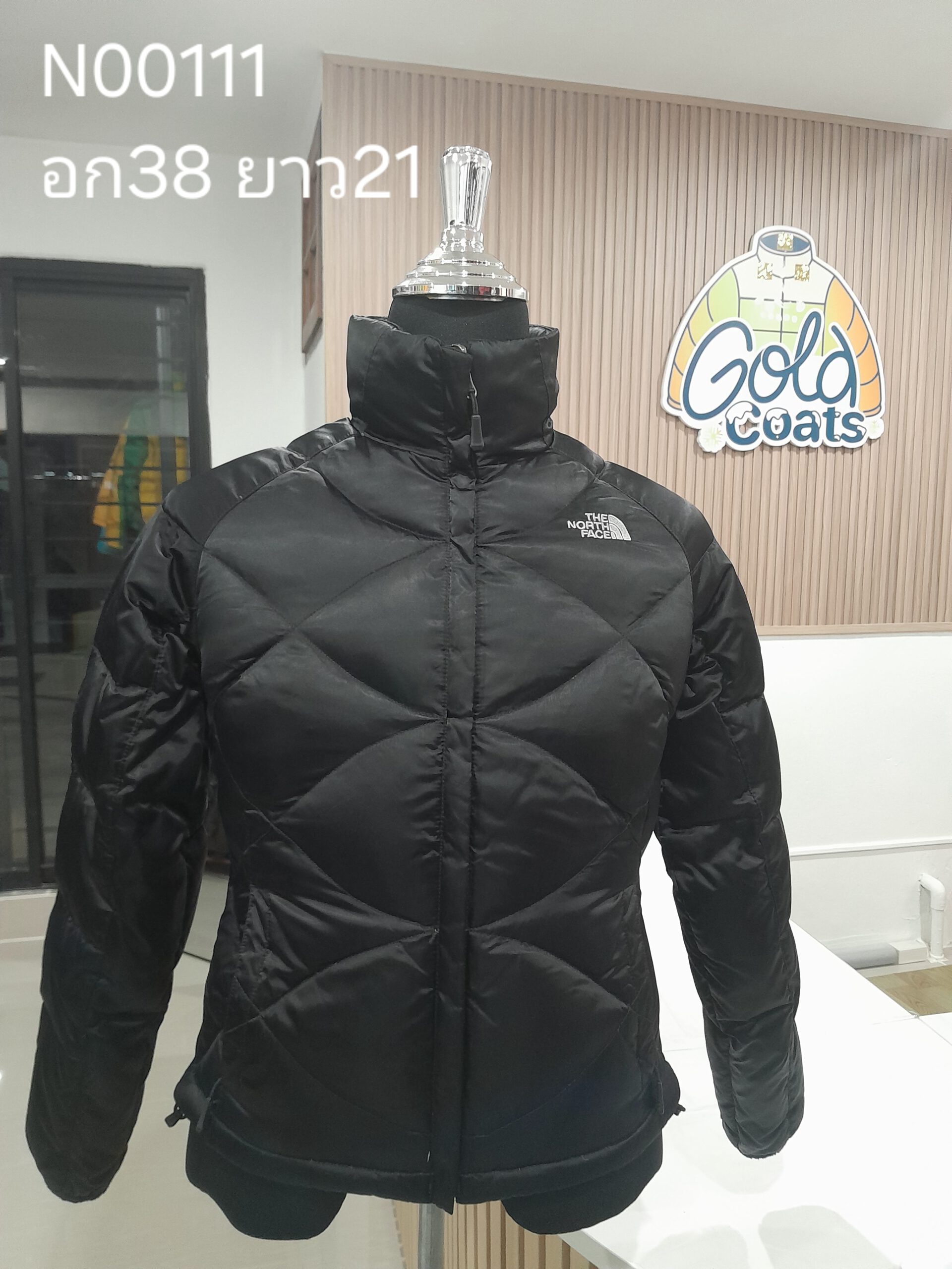 N00111 The North face