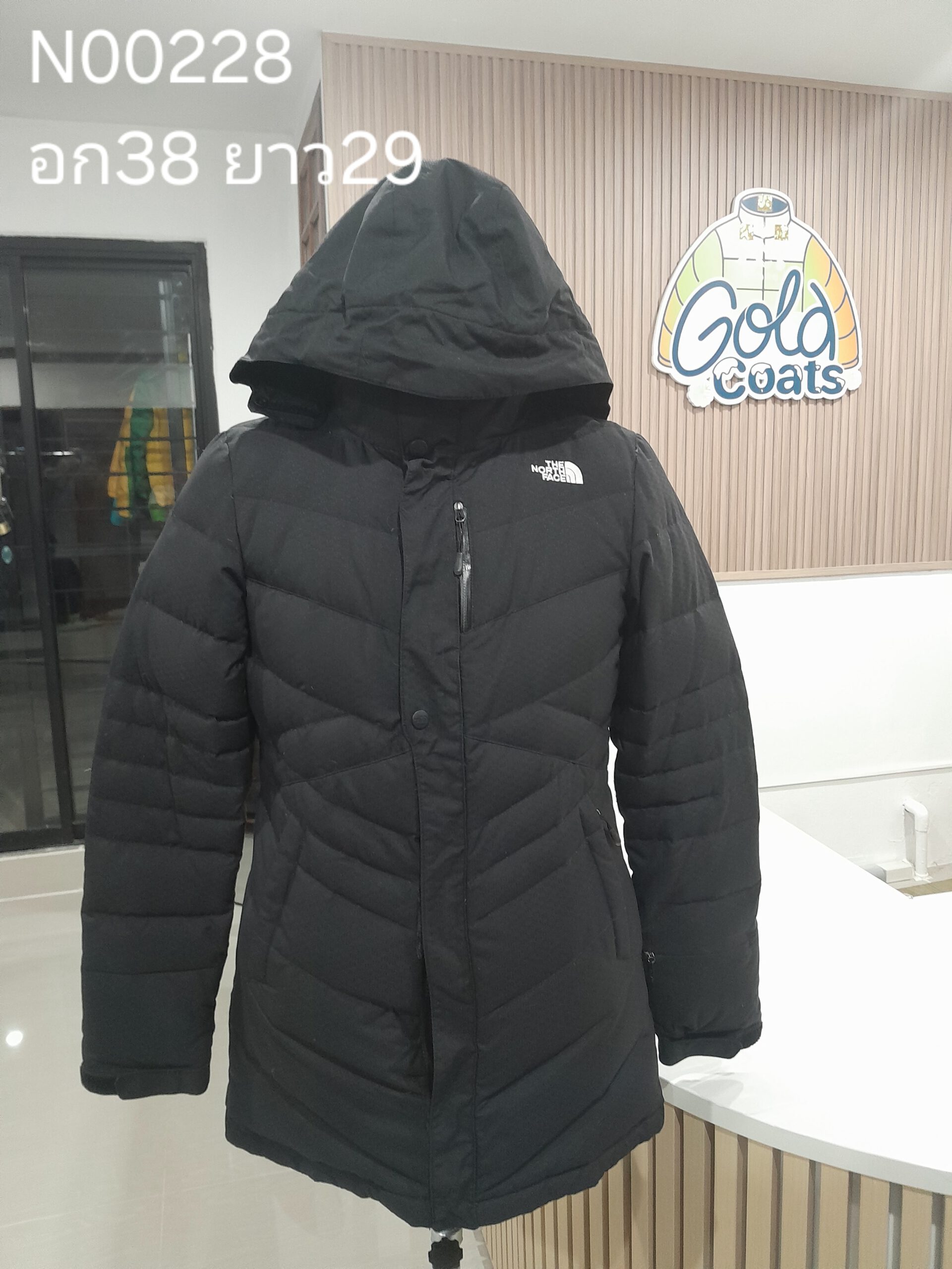 N00228 The North face