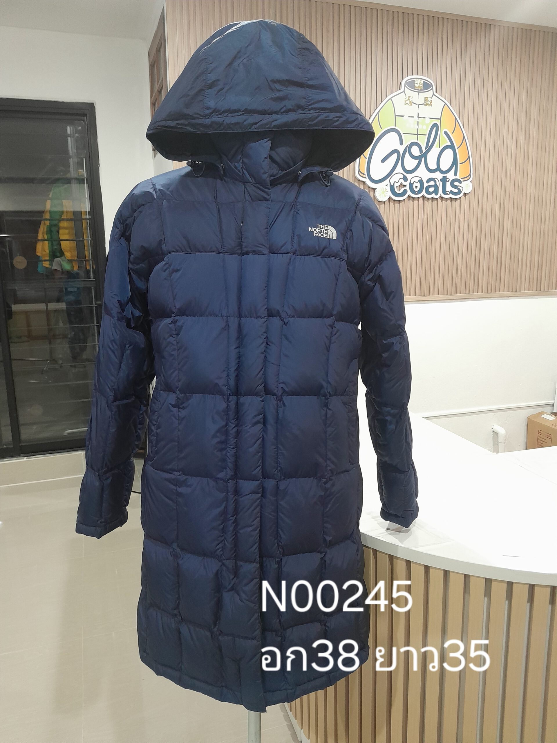 N00245 The North face