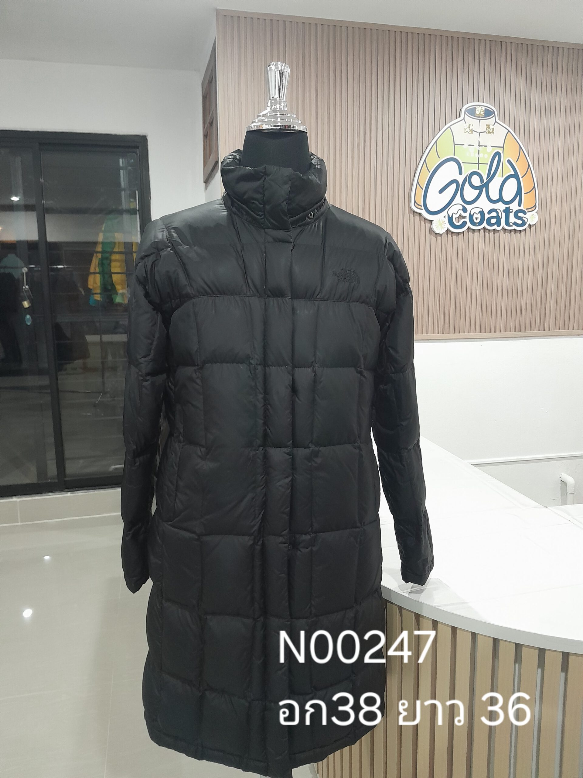 N00247 The North face