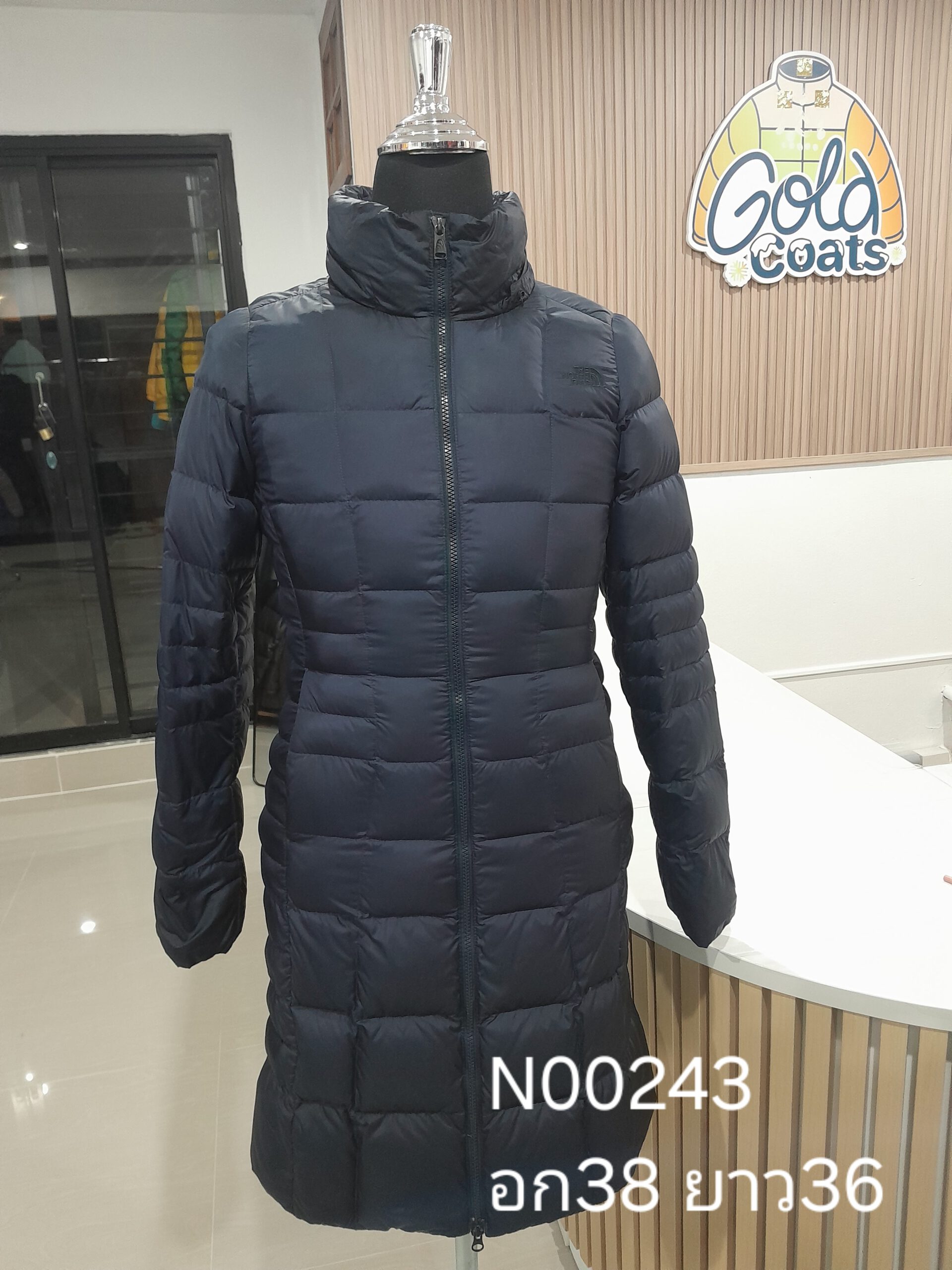 N00243 The North face