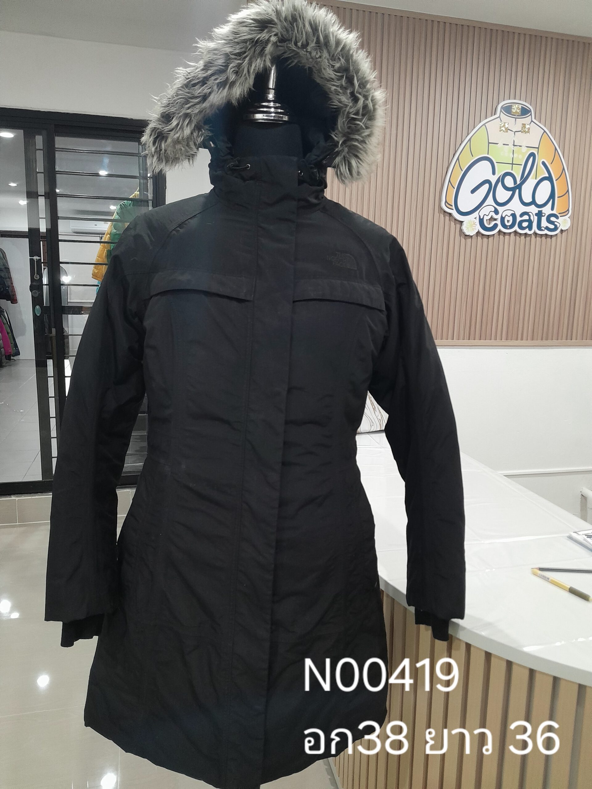 N00419 The North face