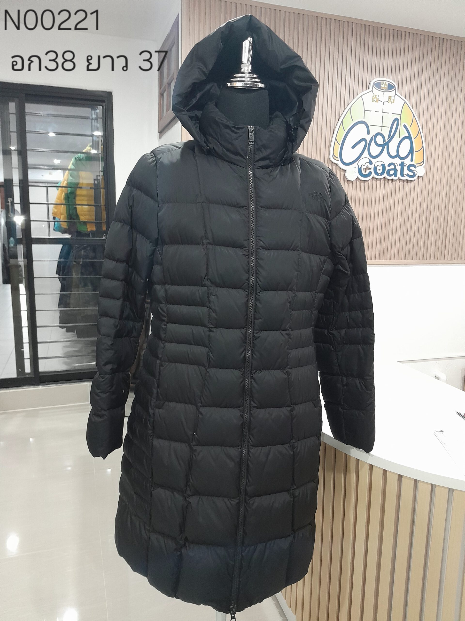 N00221 The North face