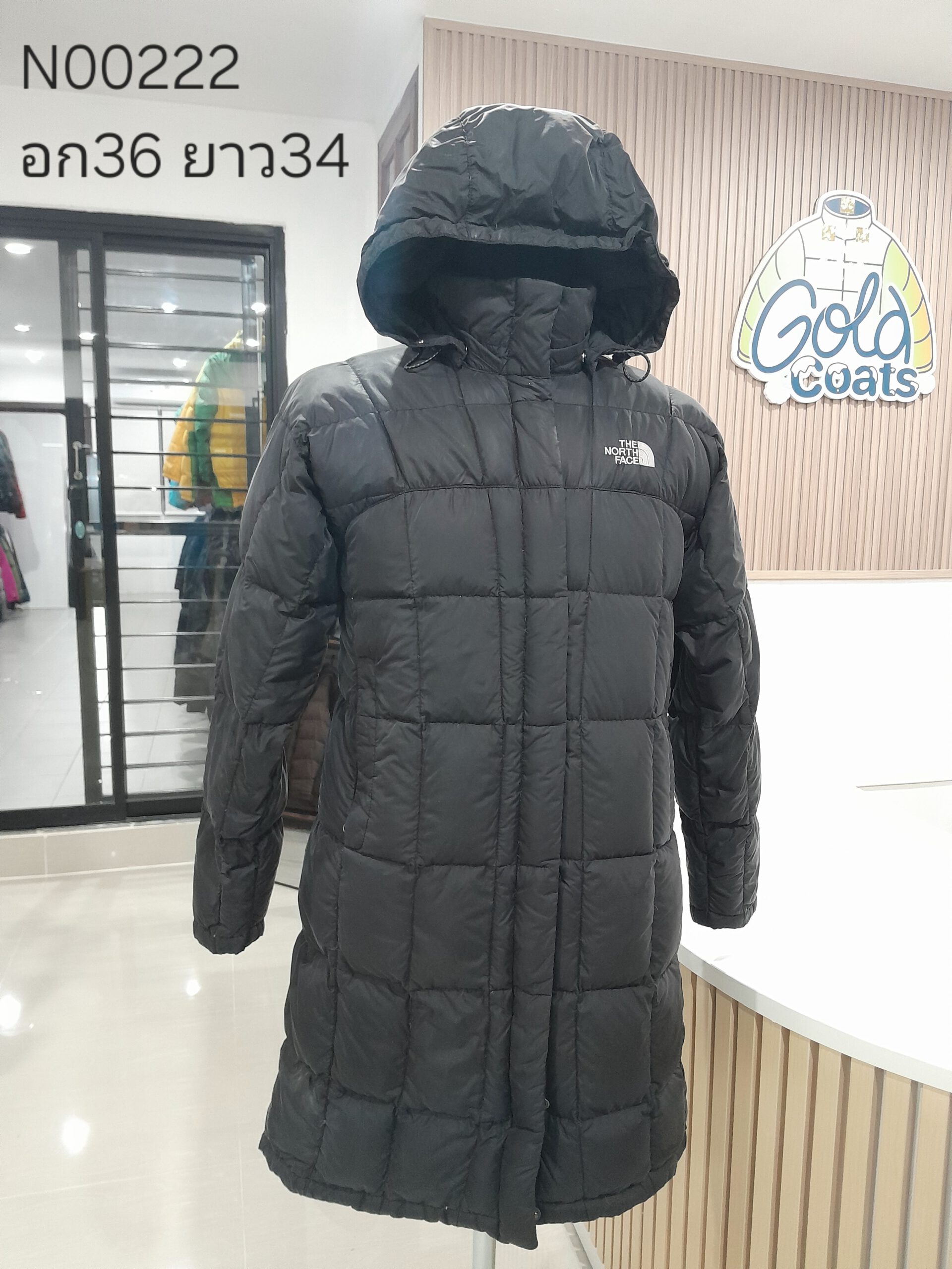 N00222 The North face