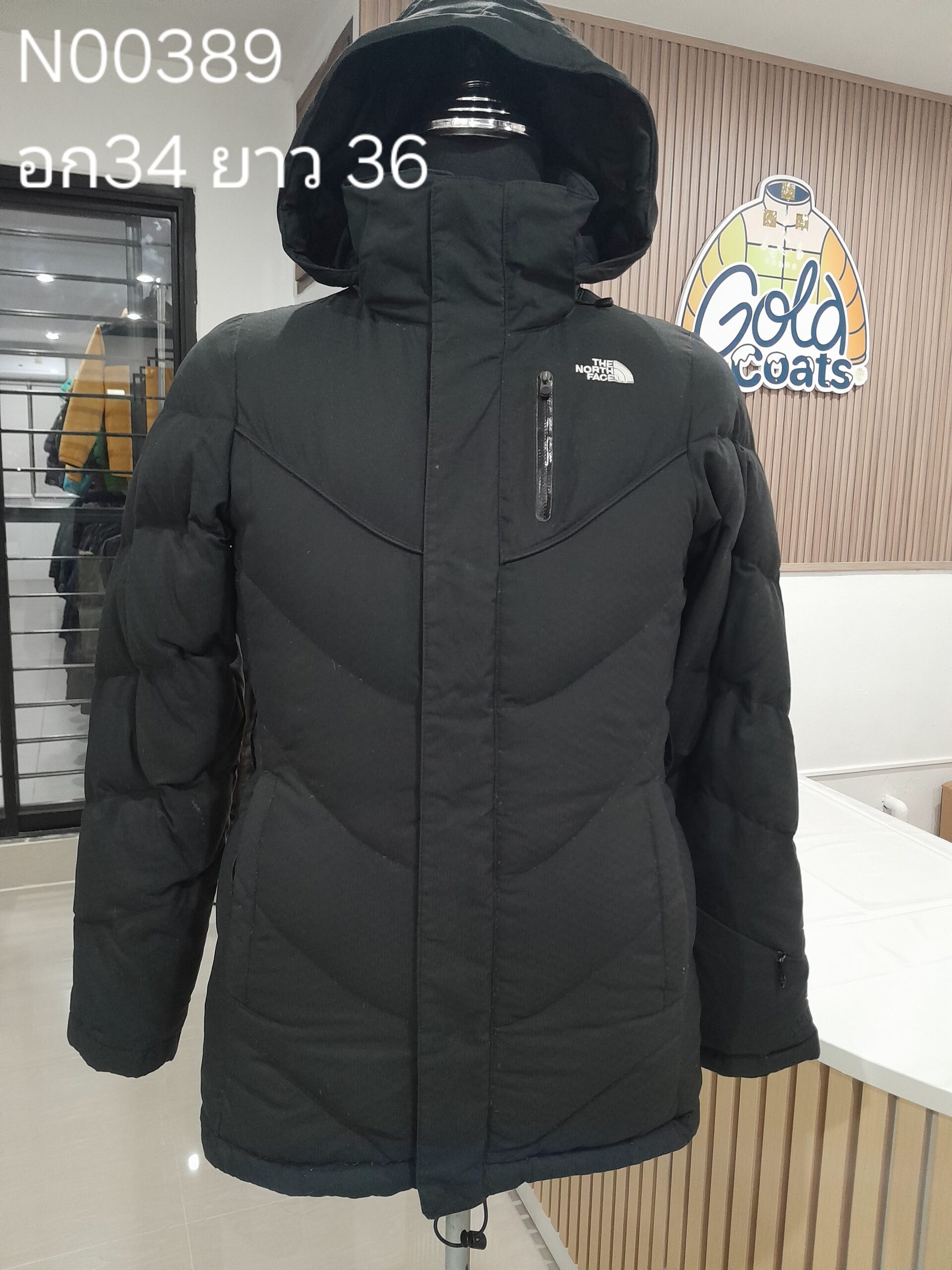 N00389 The North face