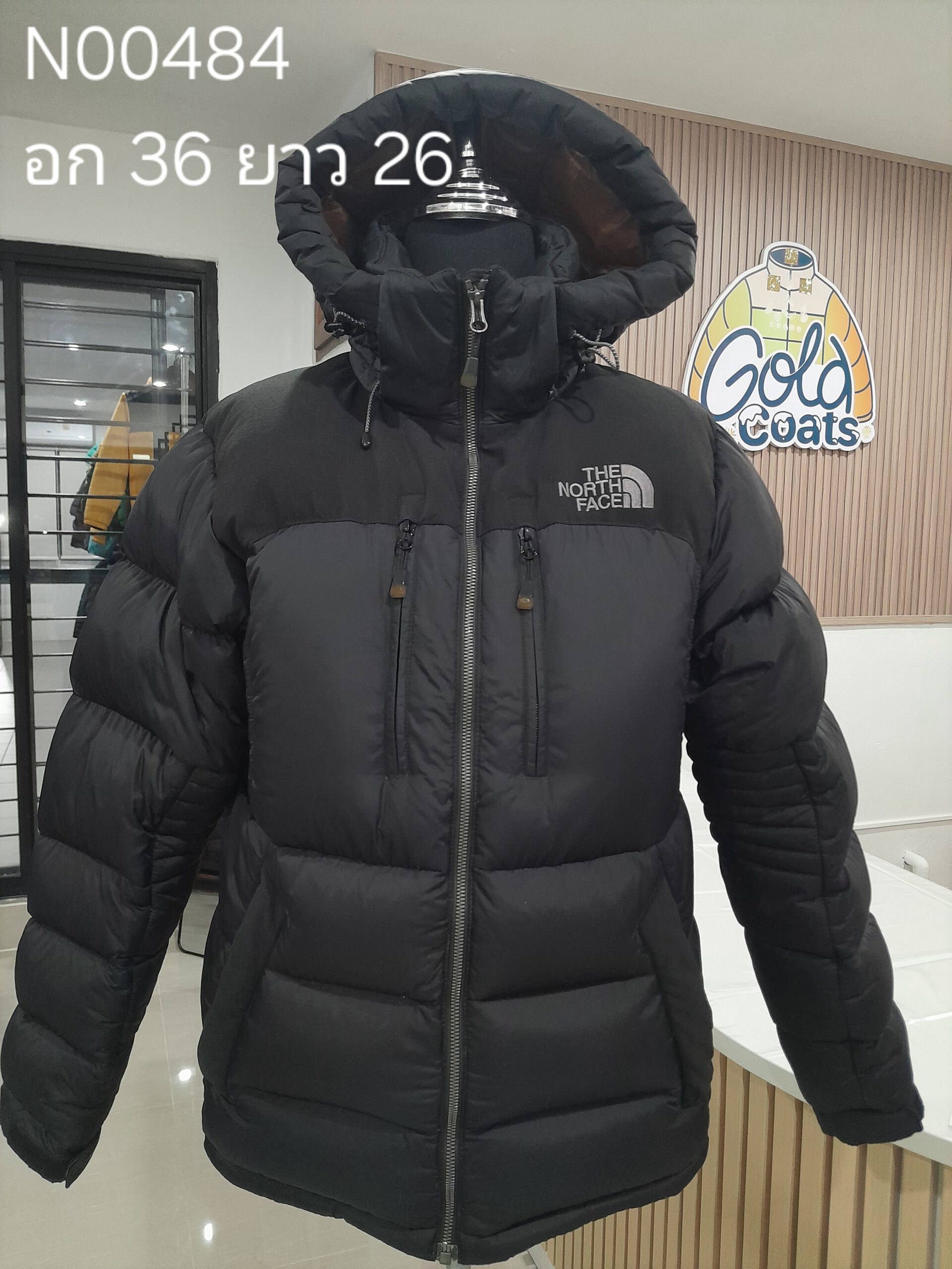 N00484 The North face