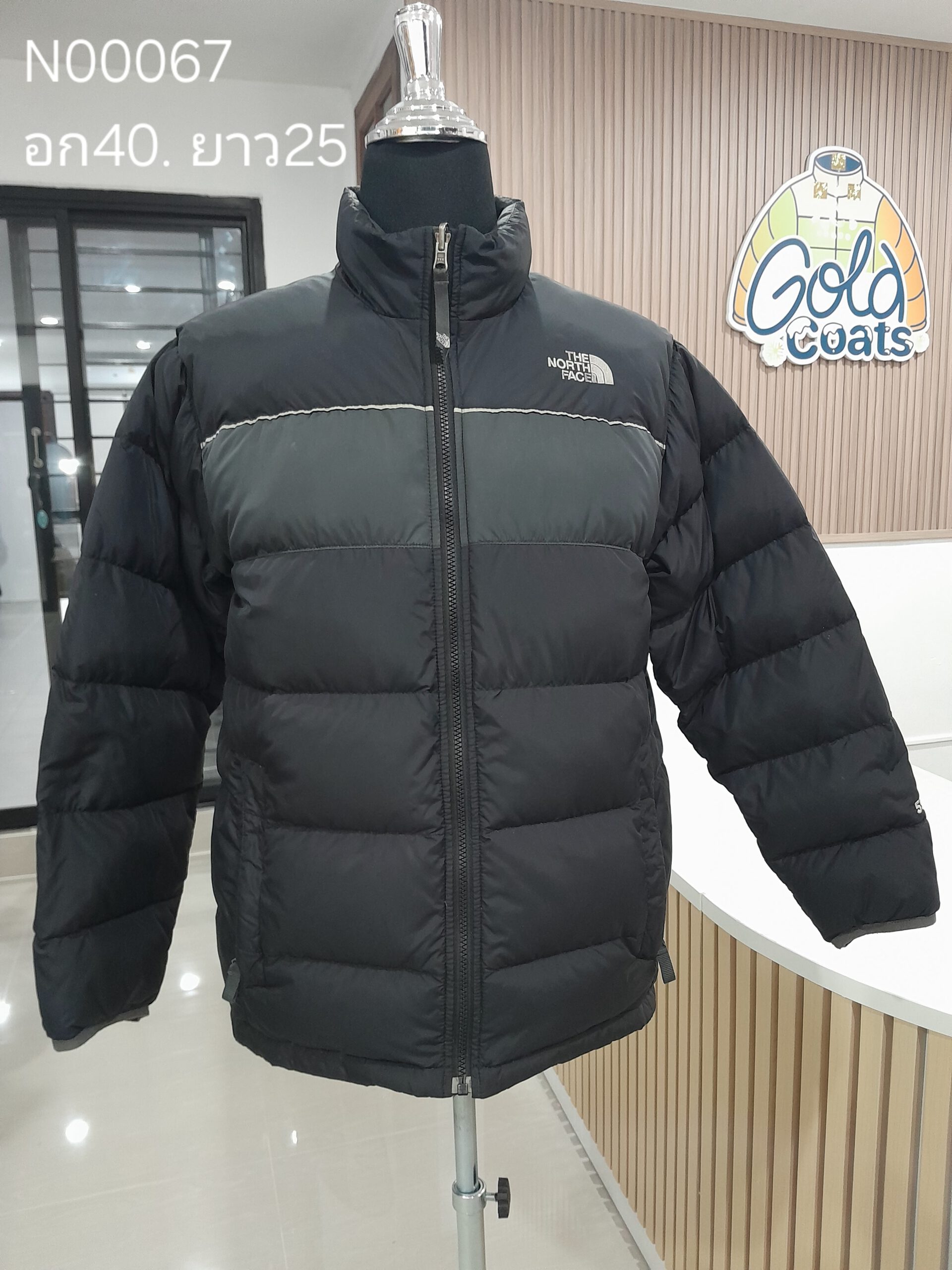 N00067 The North face