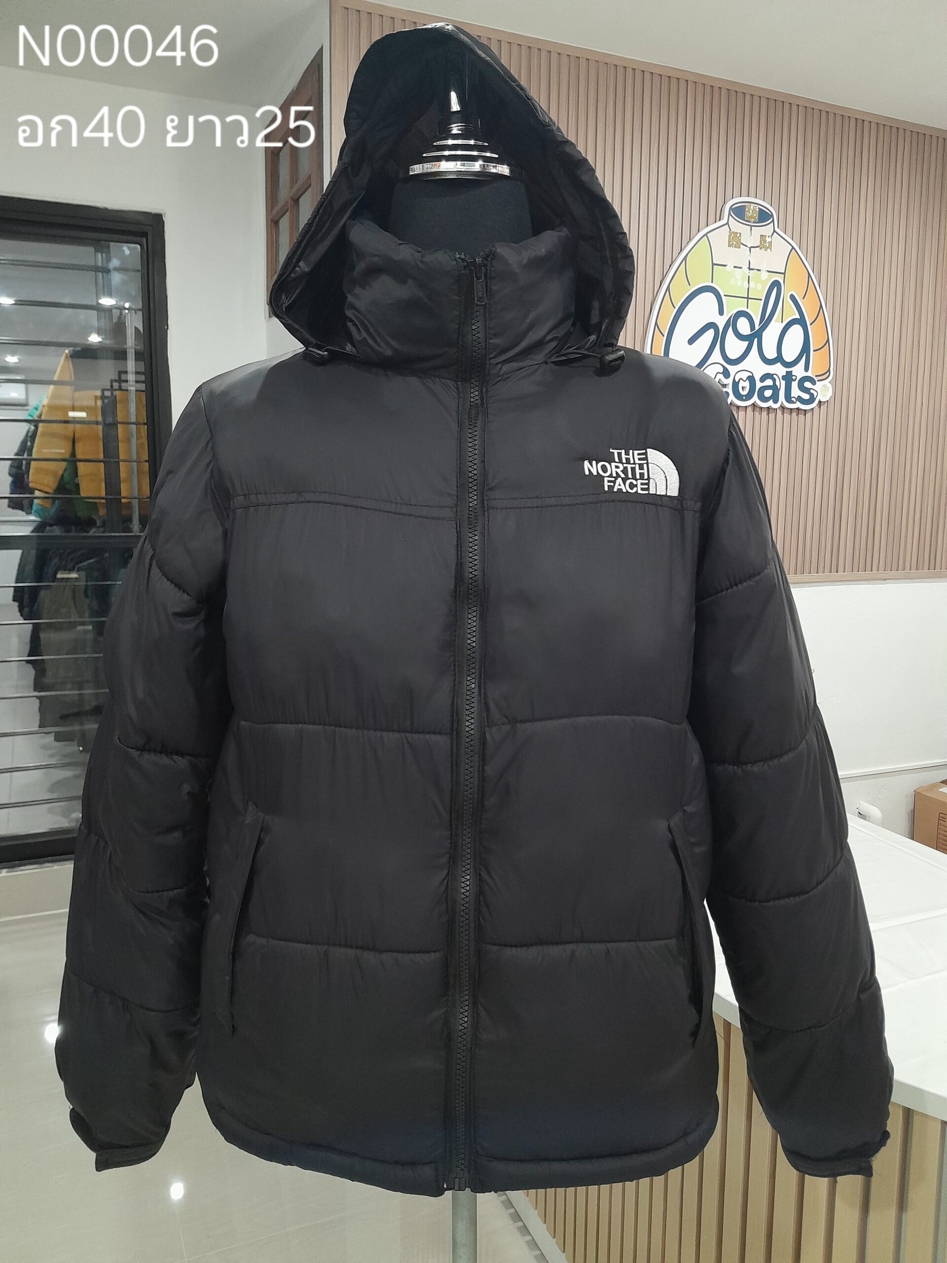 N00046 The North face