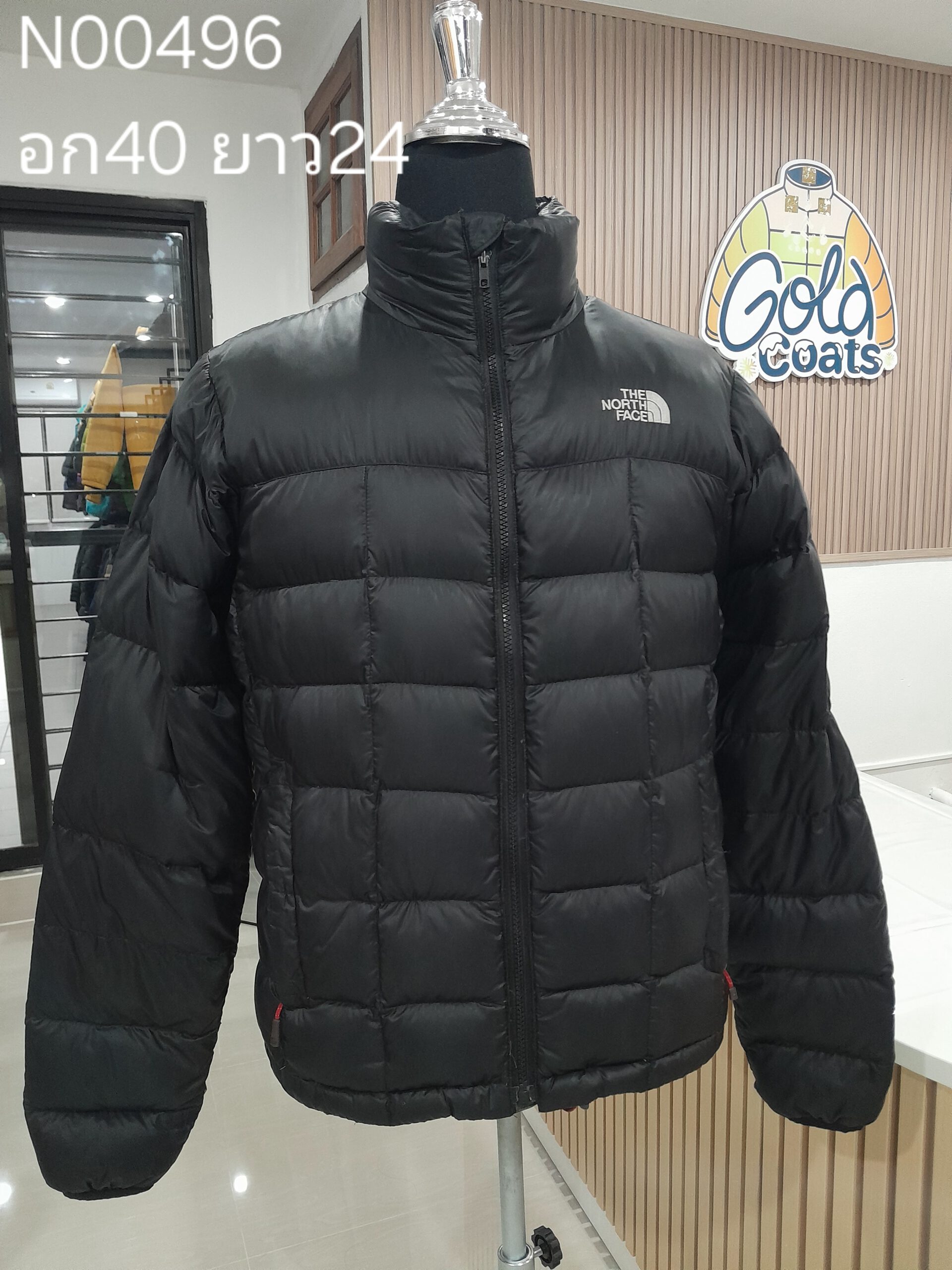 N00496 The North face