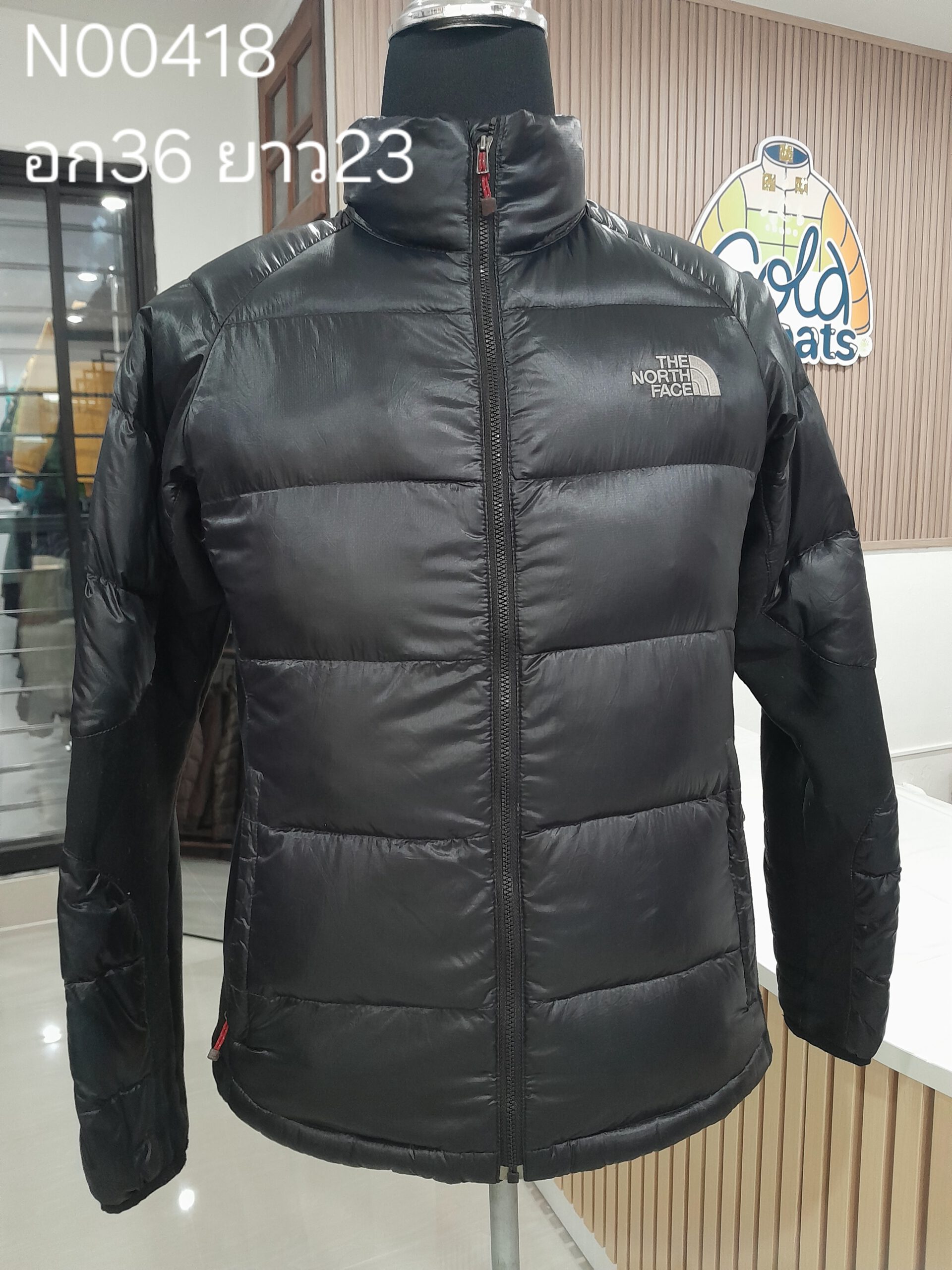 N00418 The North face