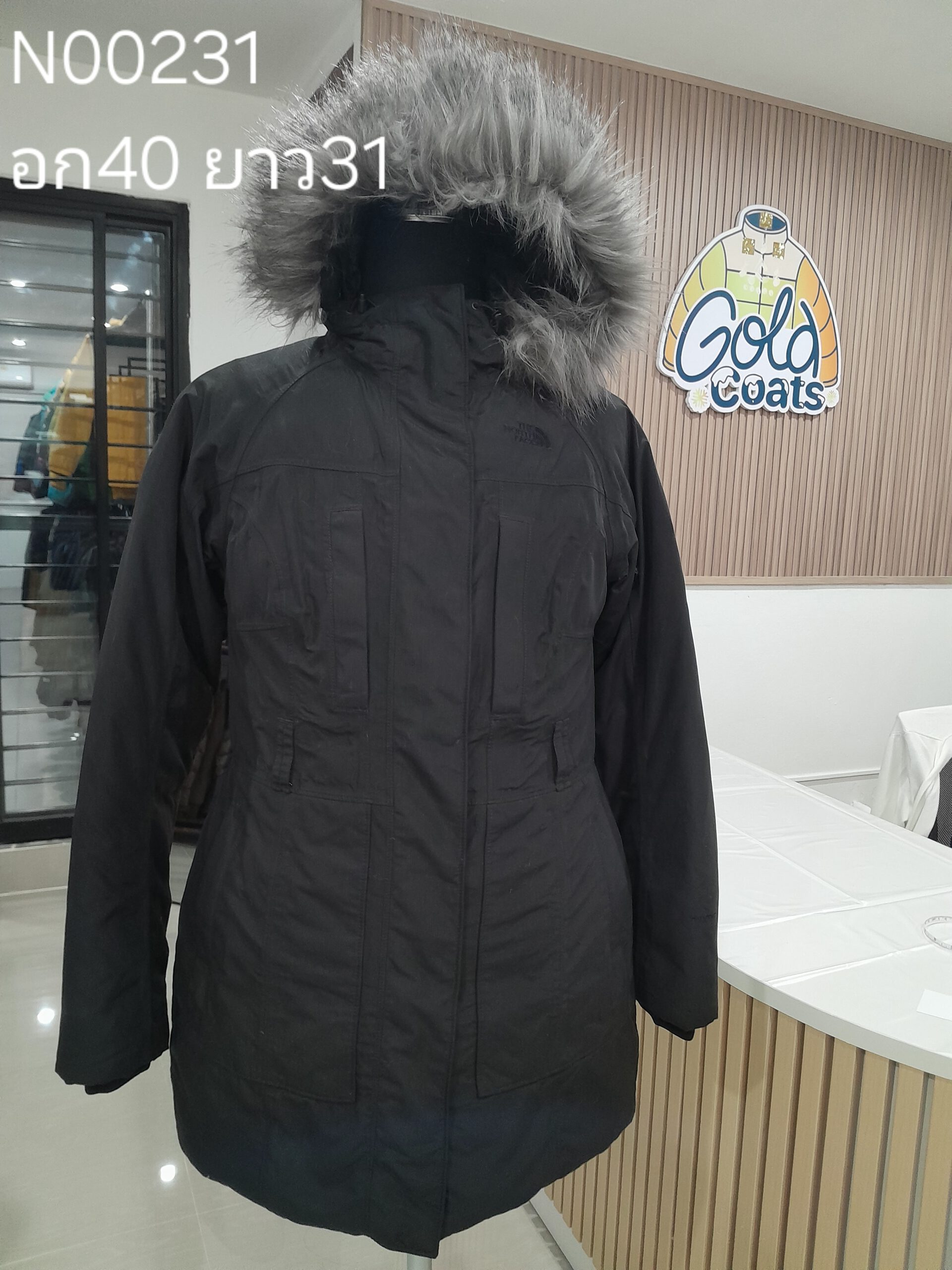 N00231 The North face