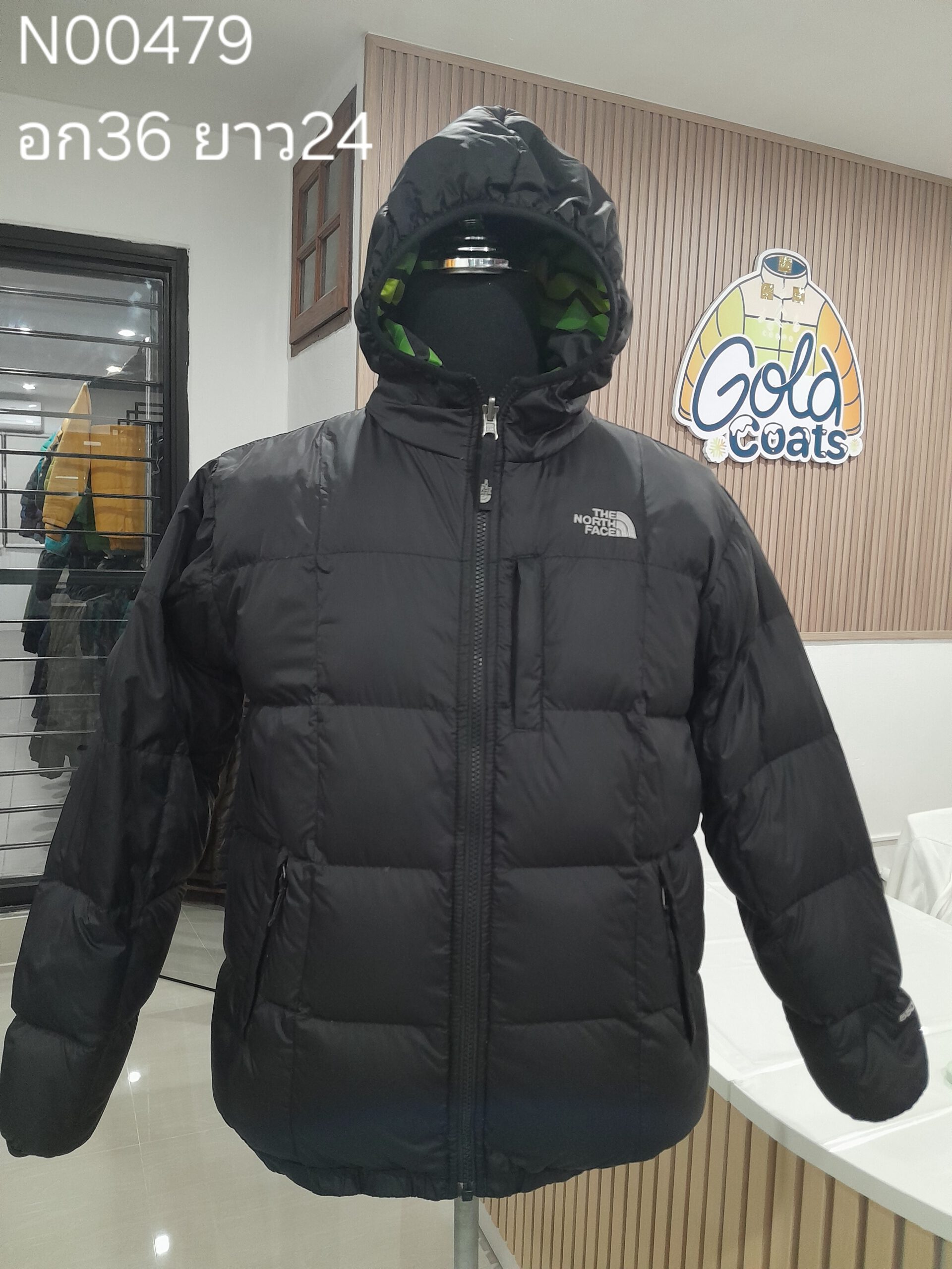 N00479 The North face