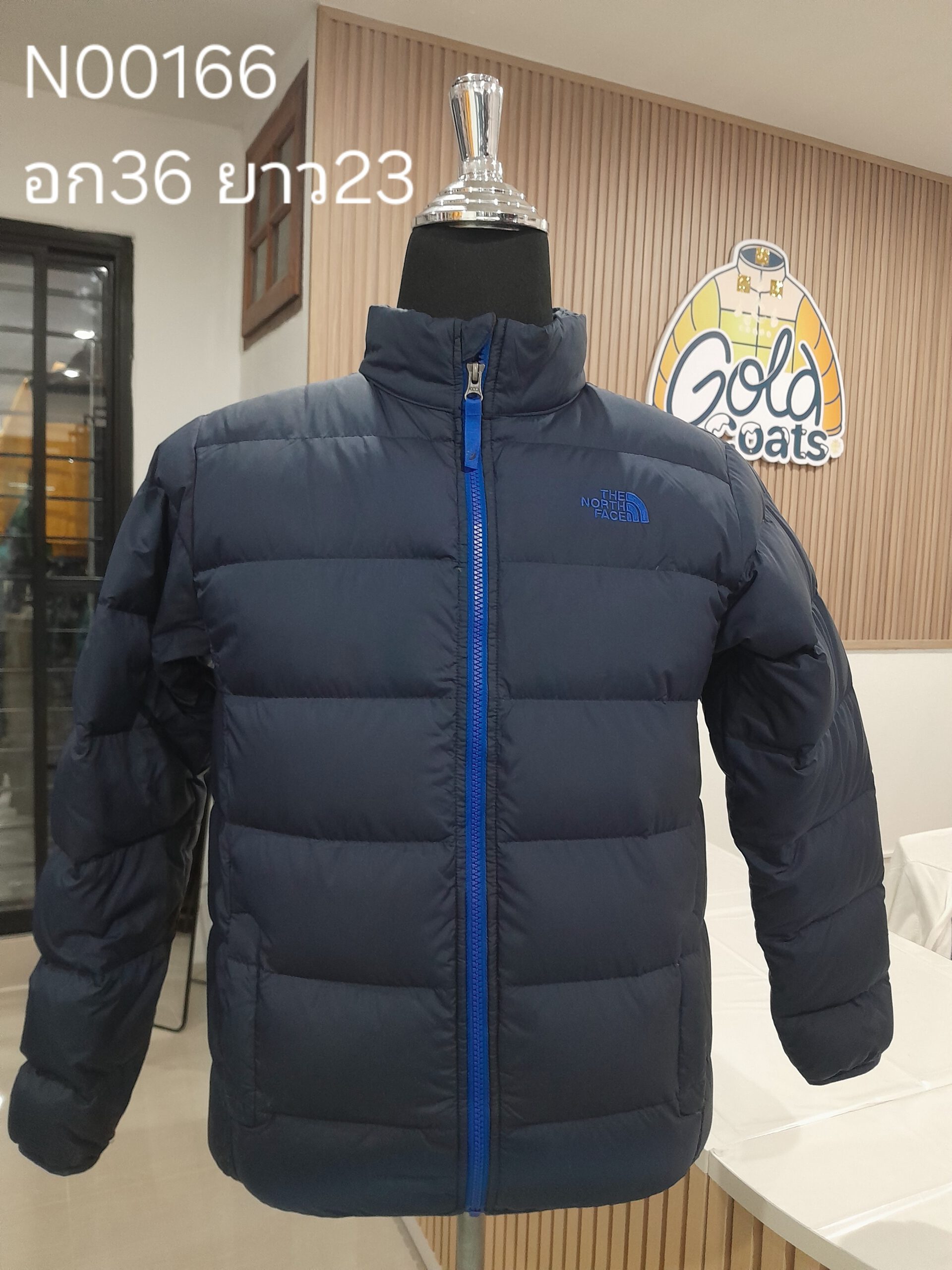 N00166 The North face