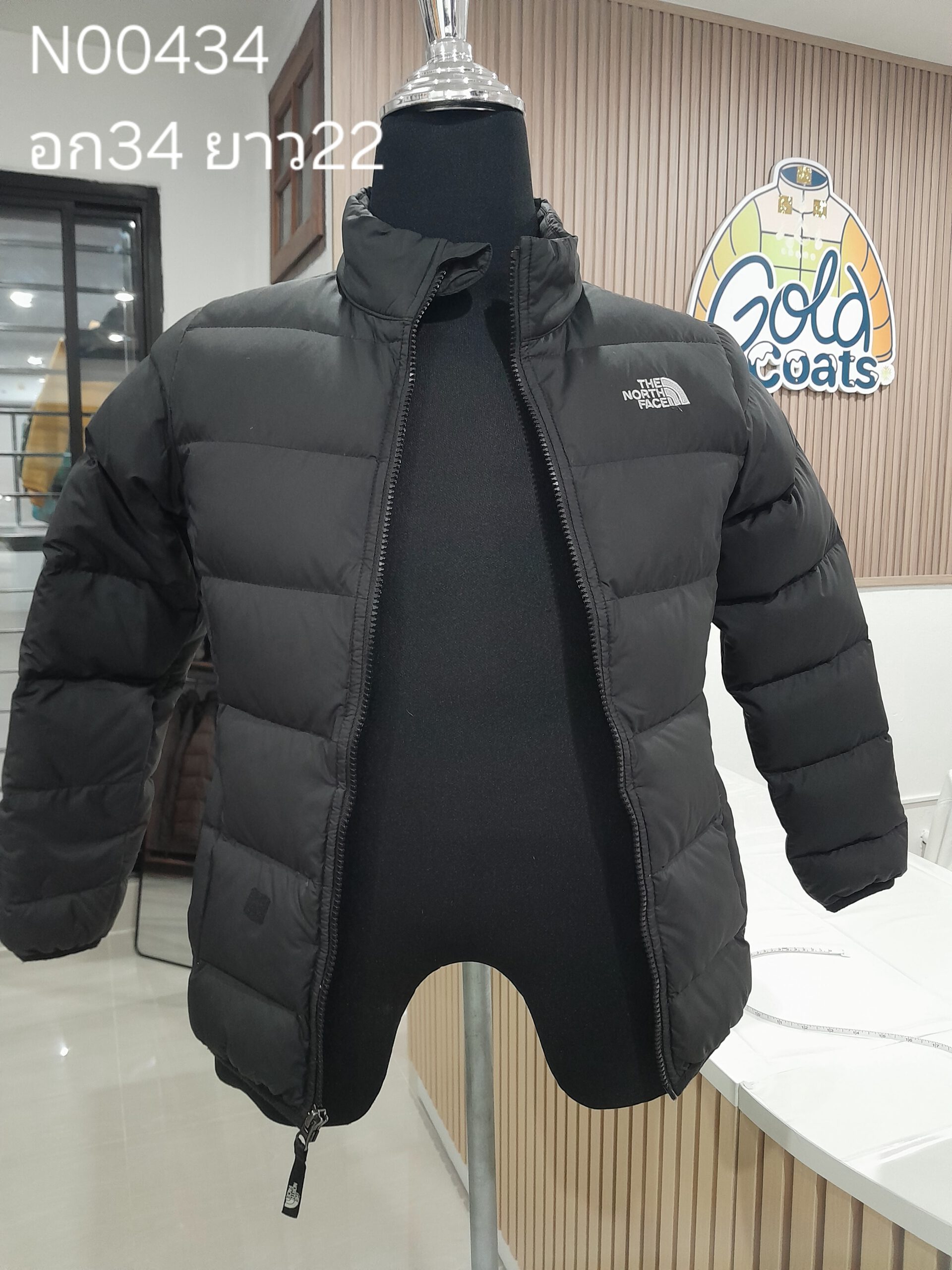 N00434 The North face