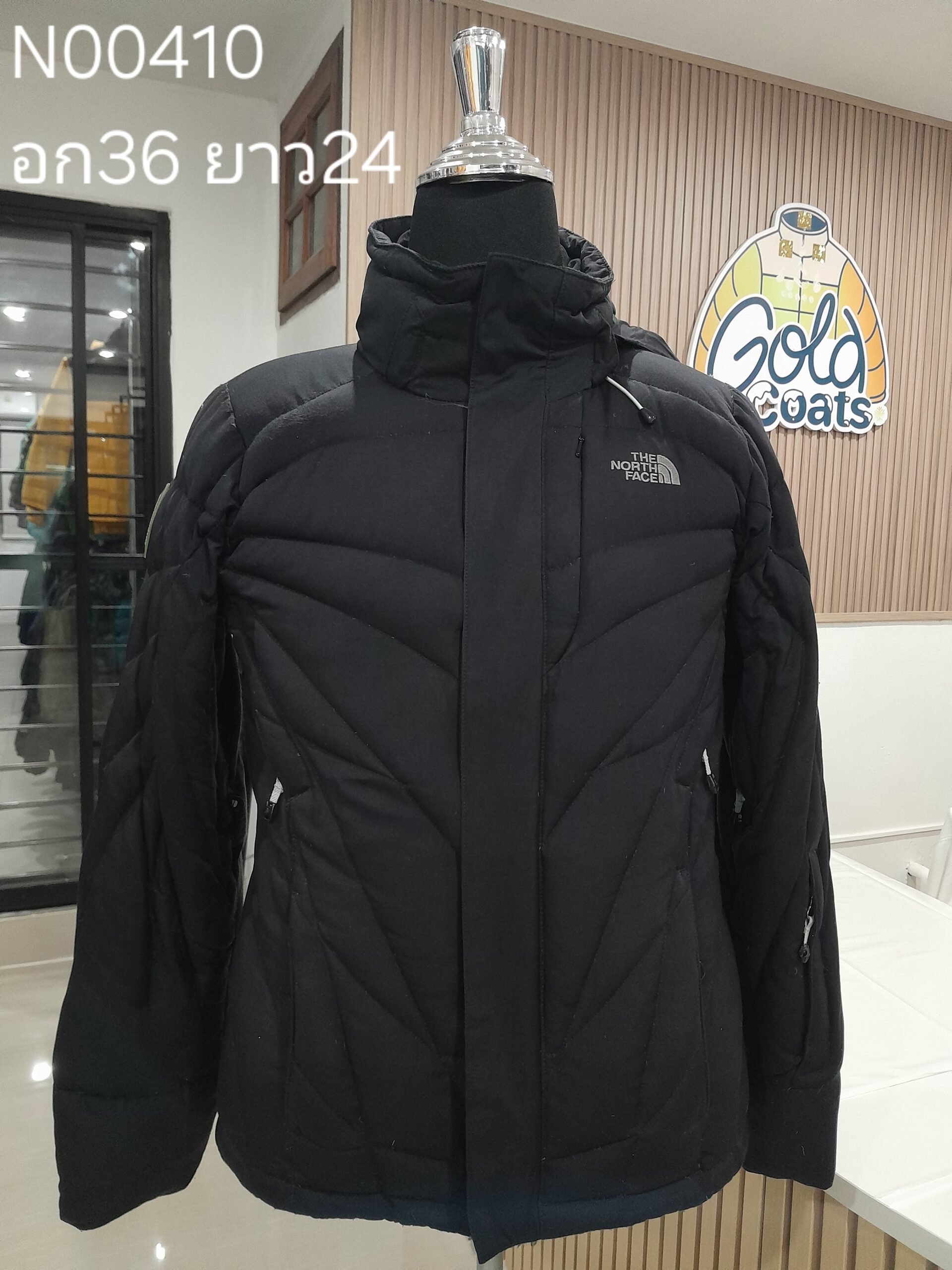 N00410 The North face