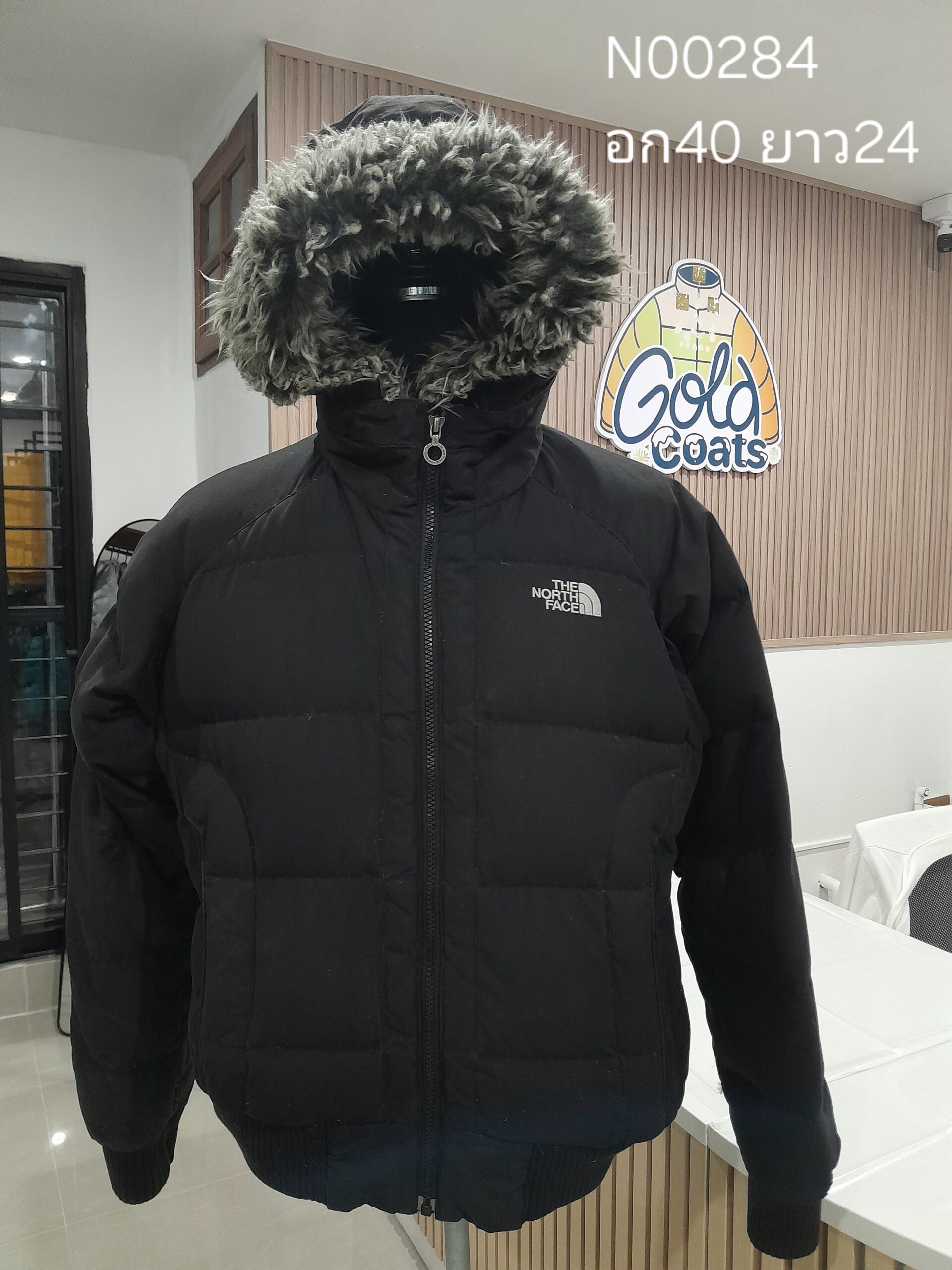 N00284 The North face