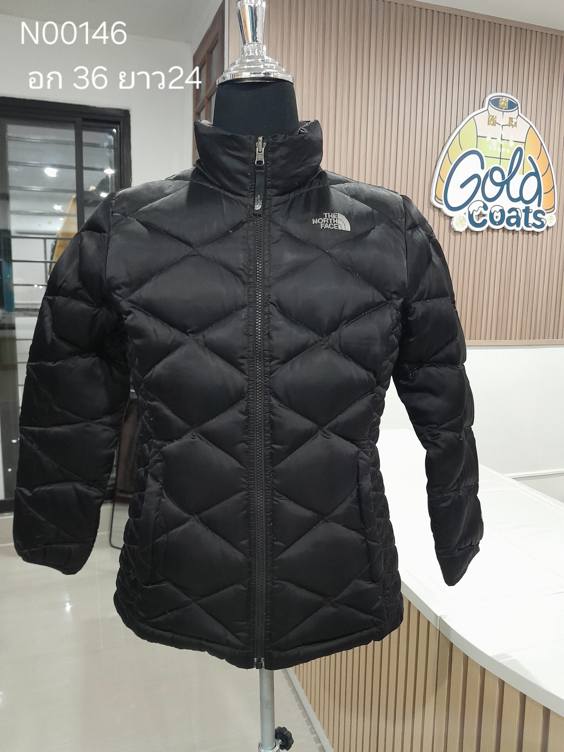 N00146 The North face