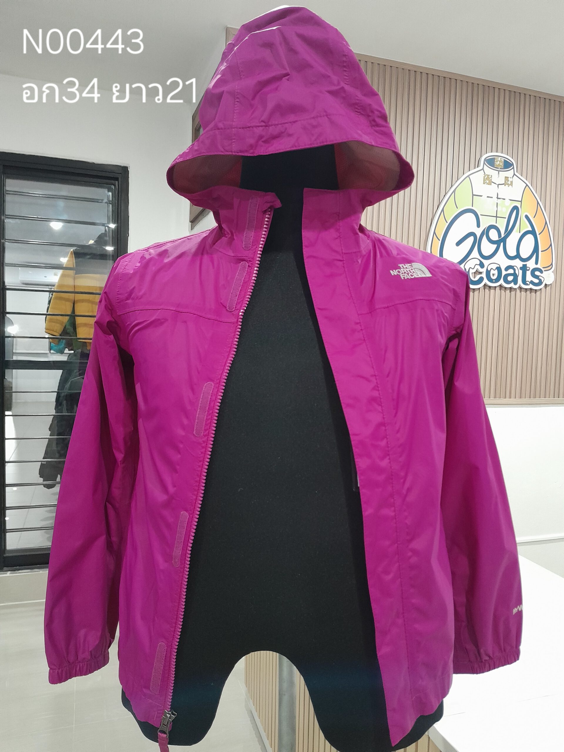 N00443 The North face