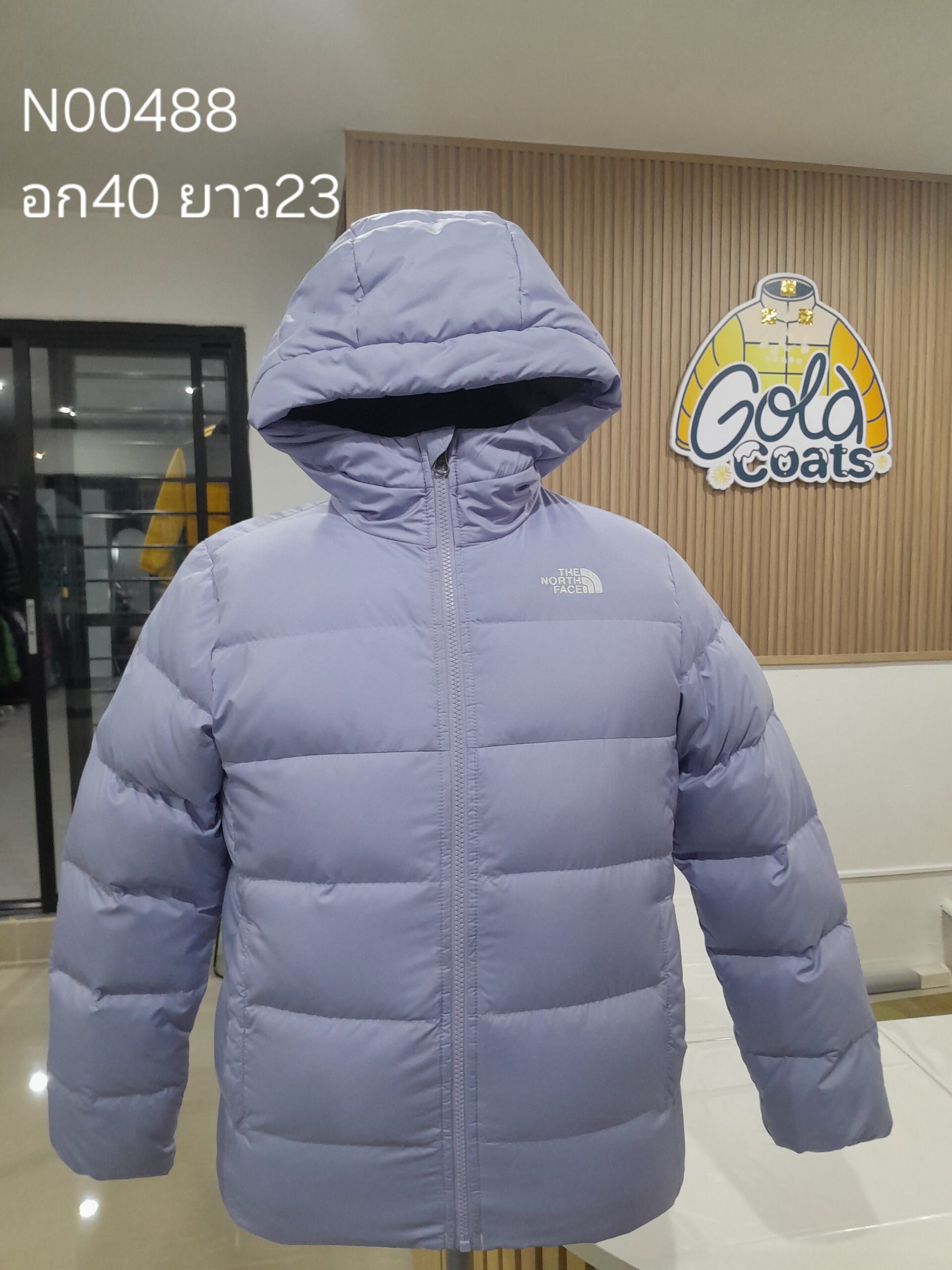 N00488 The North face