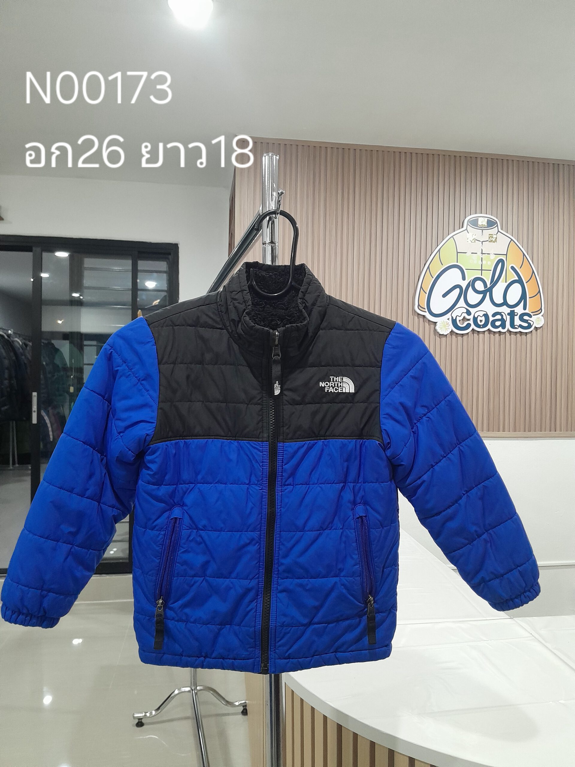 N00173 The North face