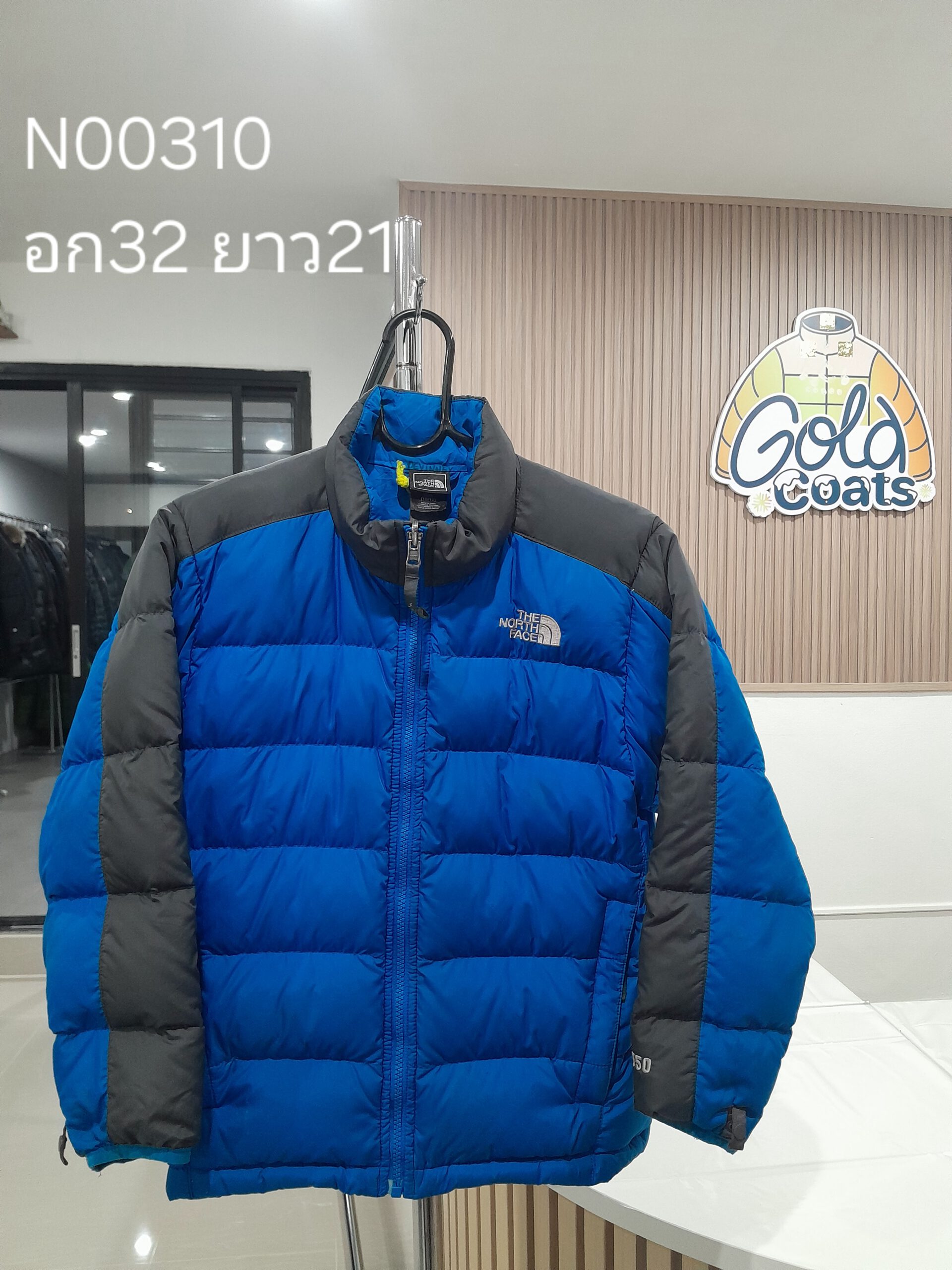 N00310 The North face