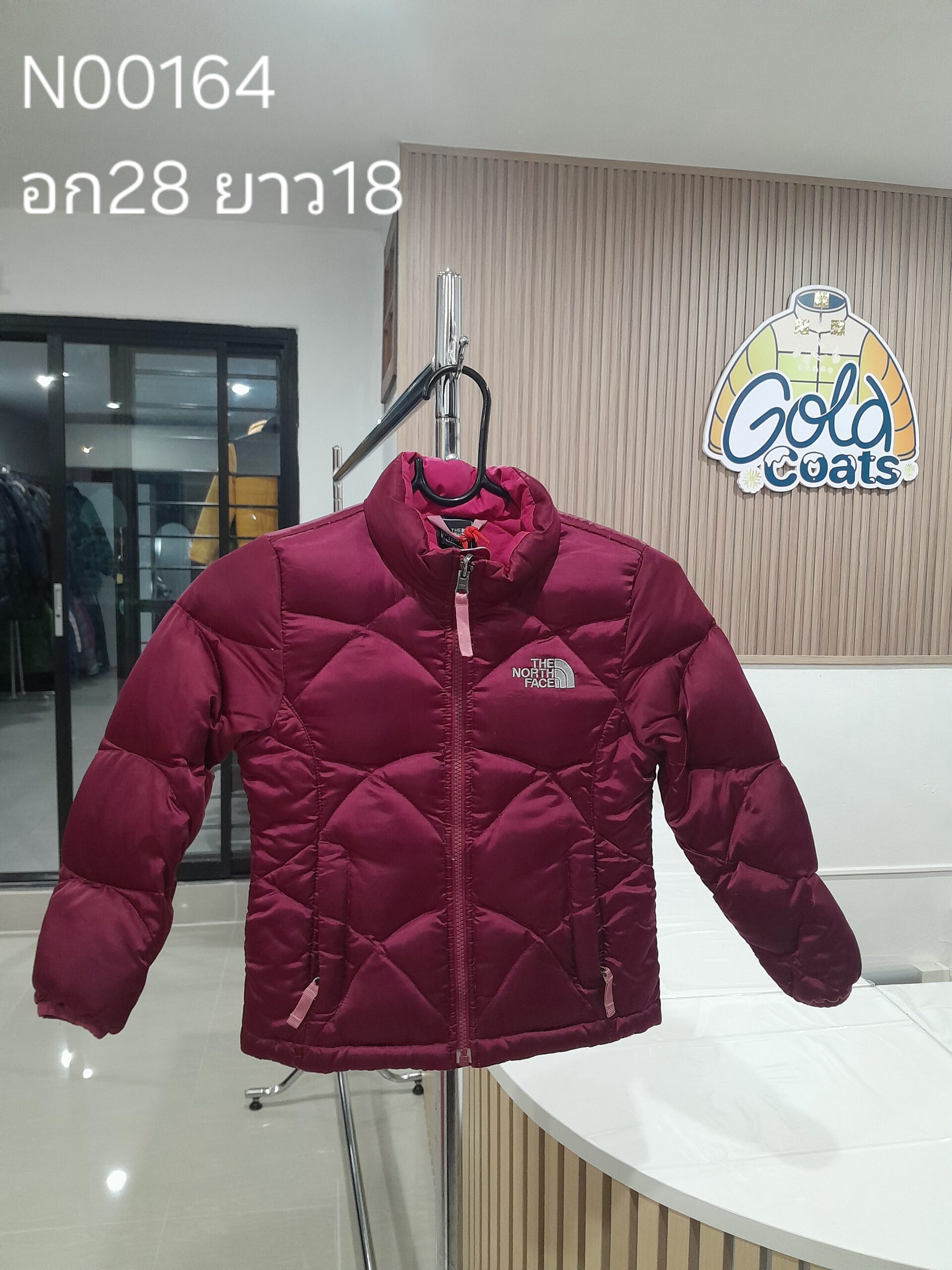 N00164 The North face