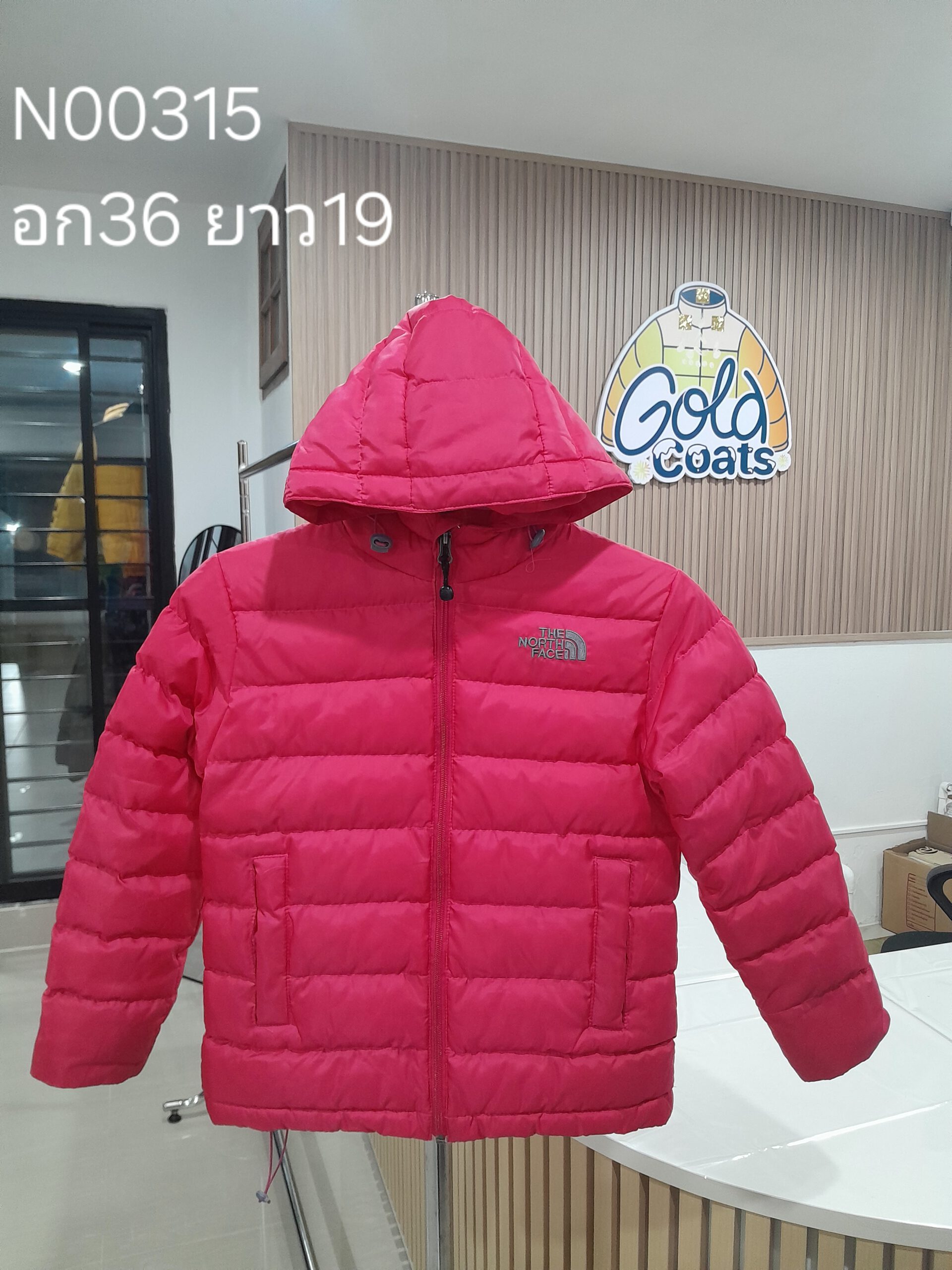 N00315 The North face