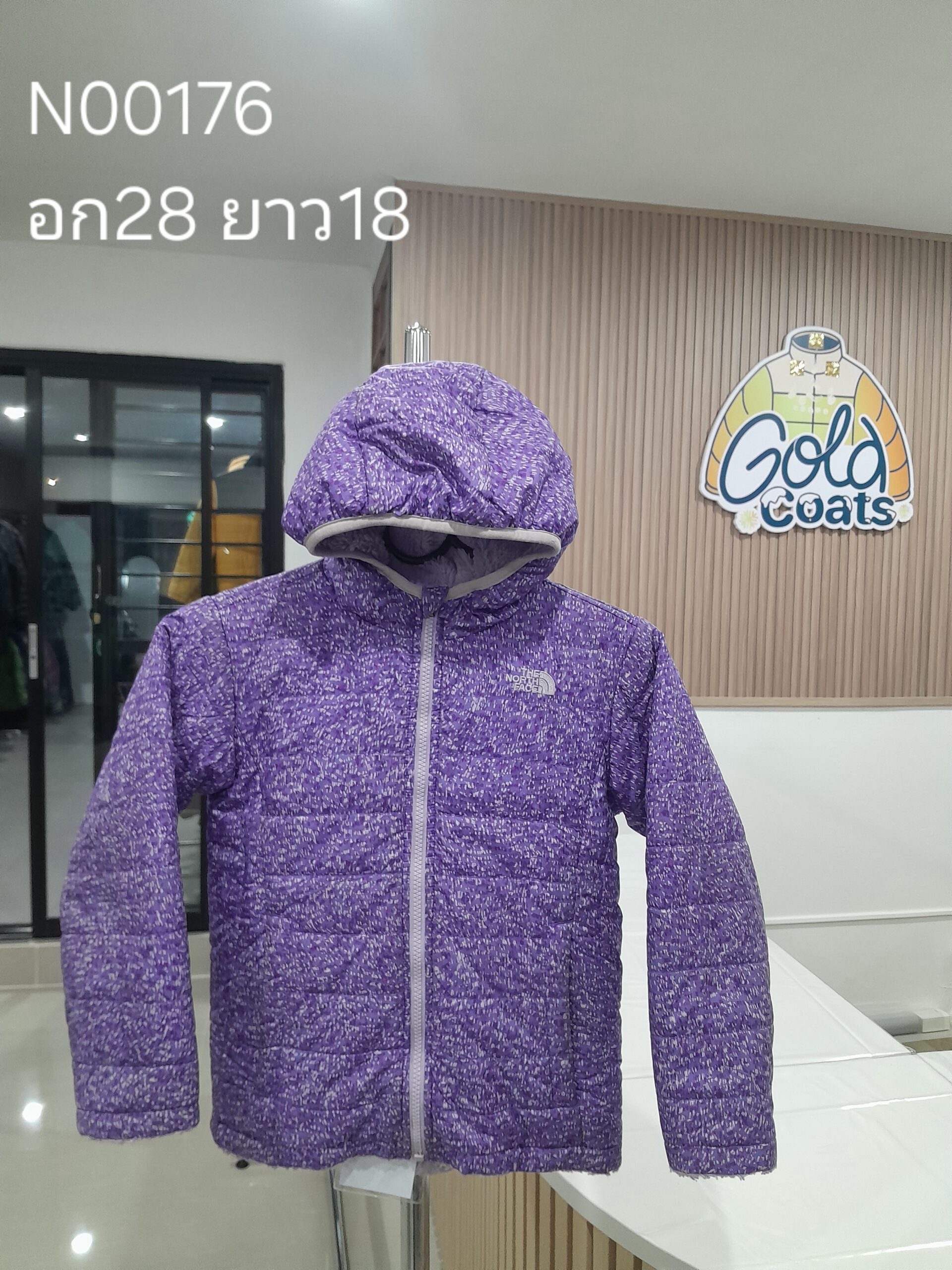 N00176 The North face