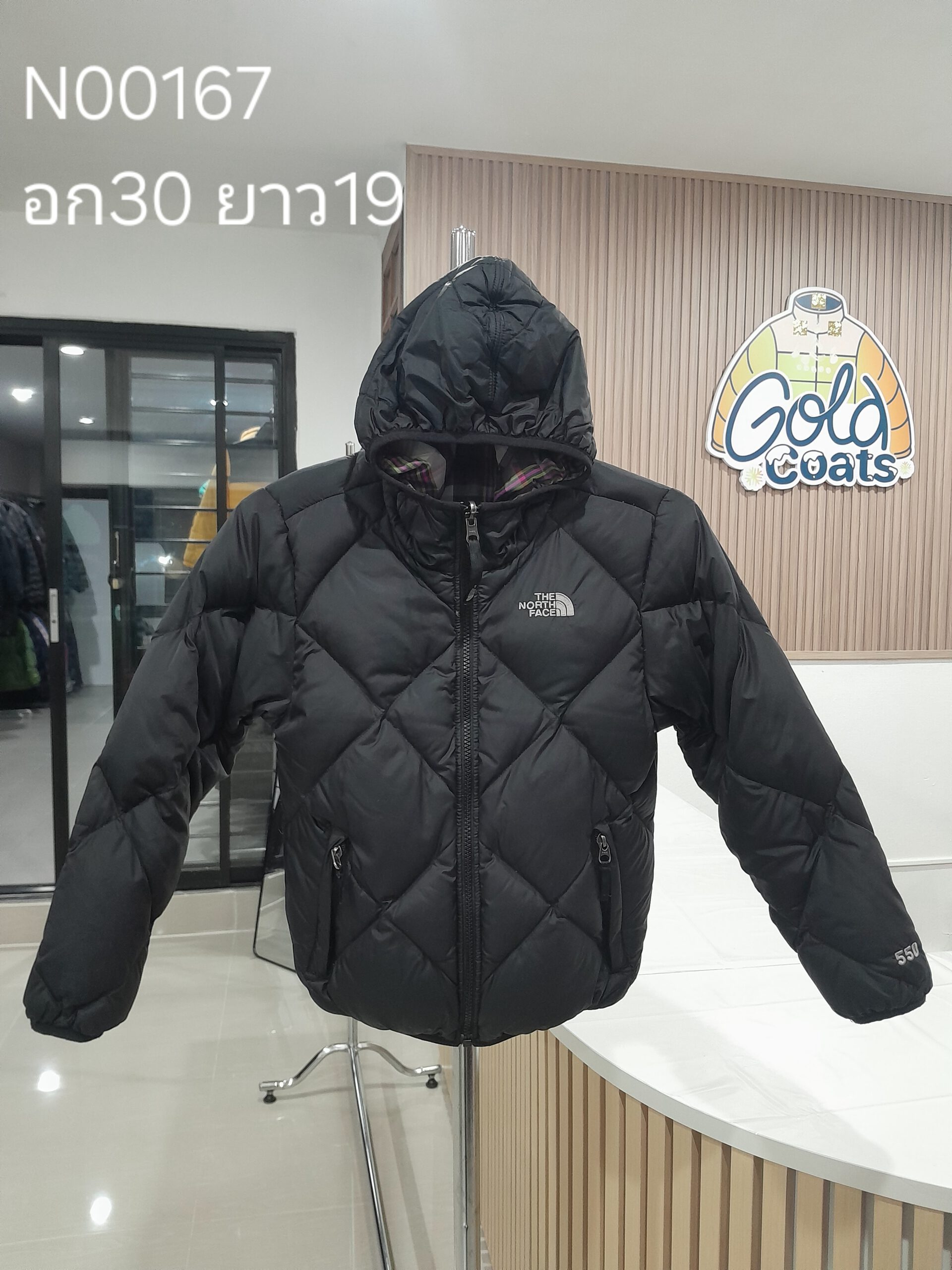 N00167 The North face